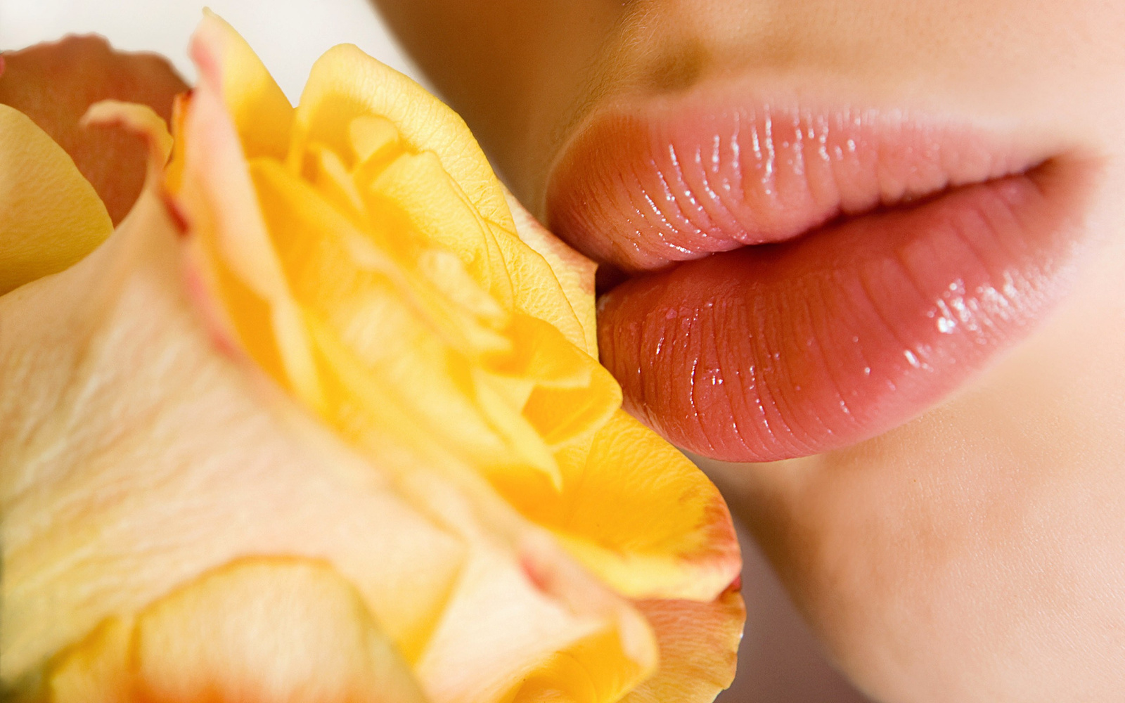 Kissing the flower