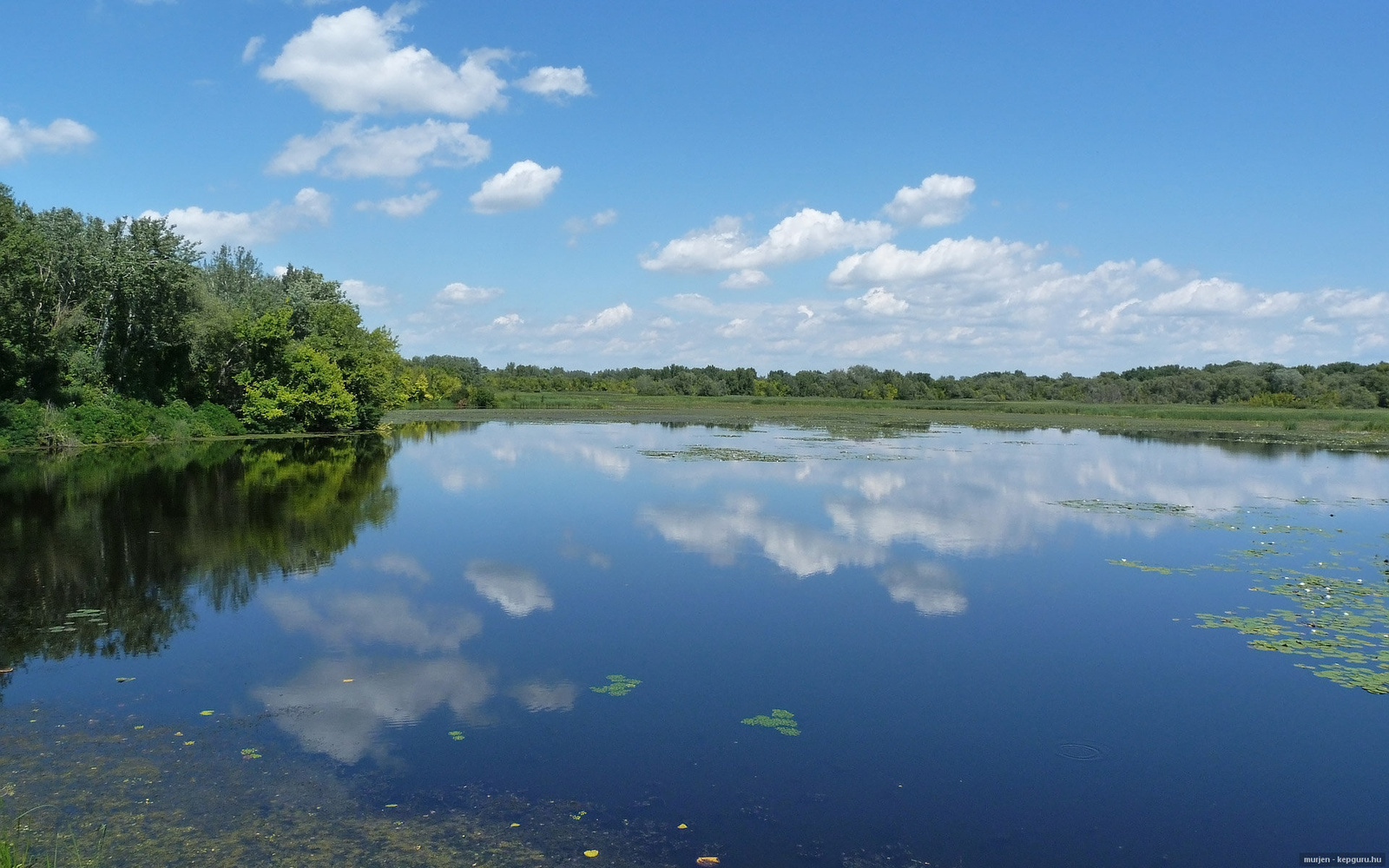 A Göbe tó ( Tisza - tó)