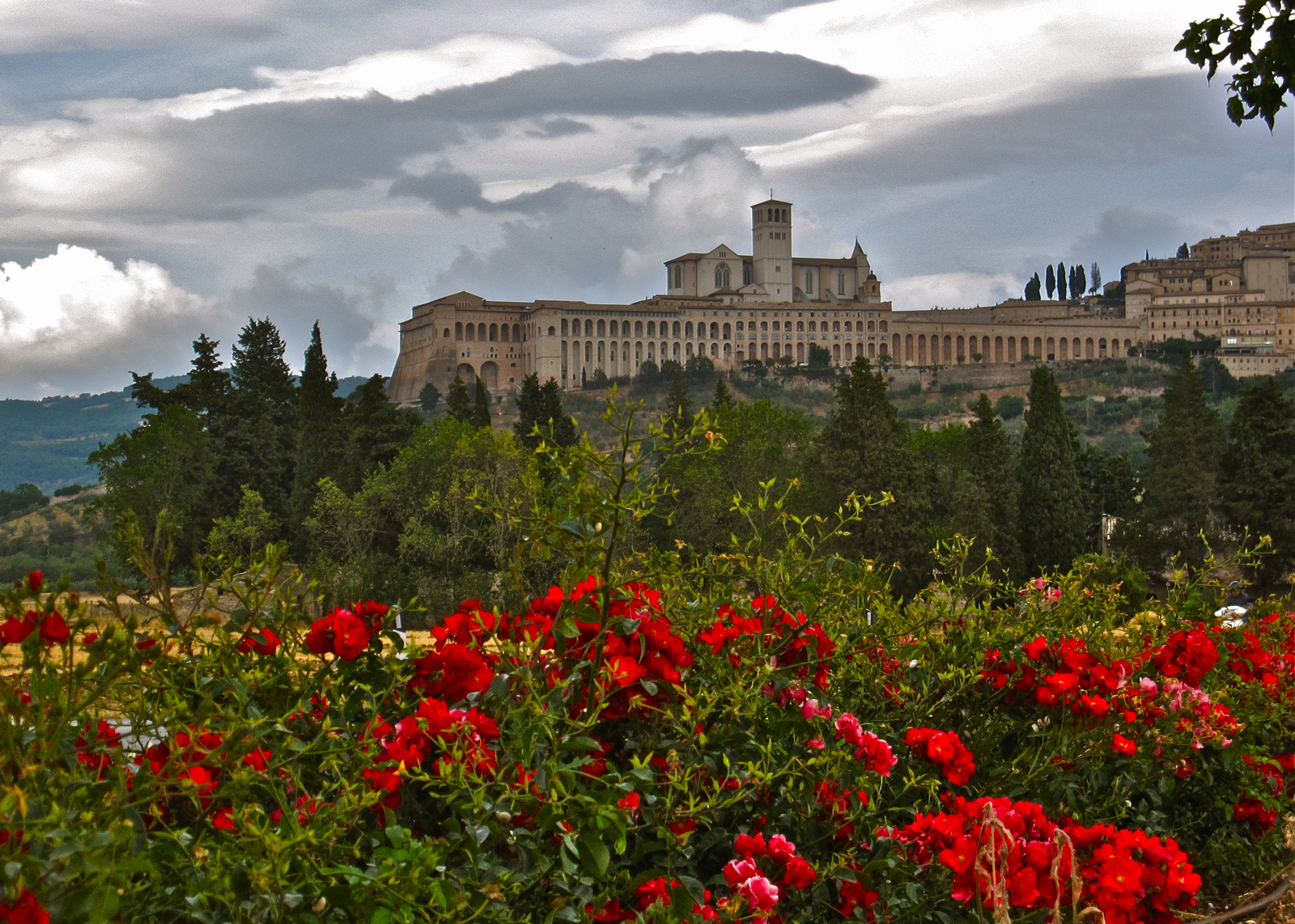 Virágos Assisi