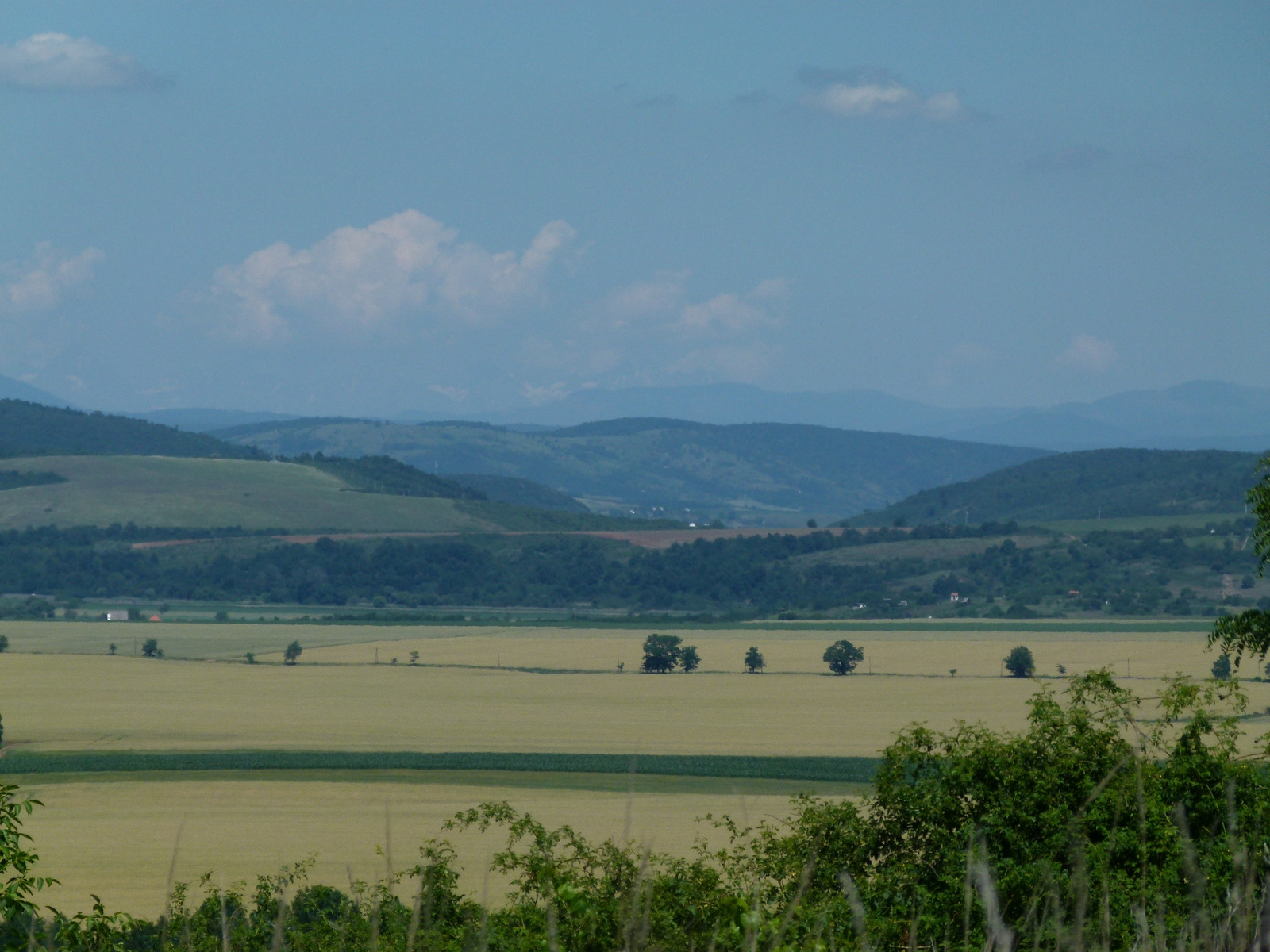 Tájkép (P1200332)