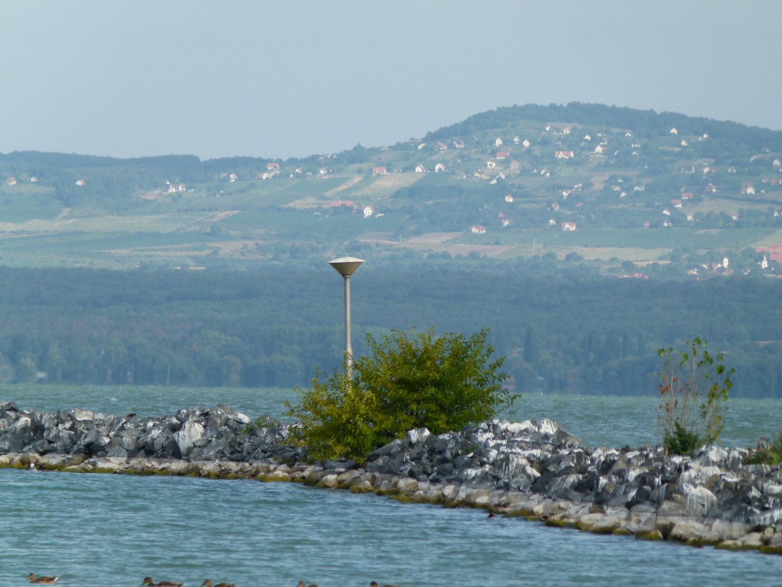 Balaton - északi part (P1380503)