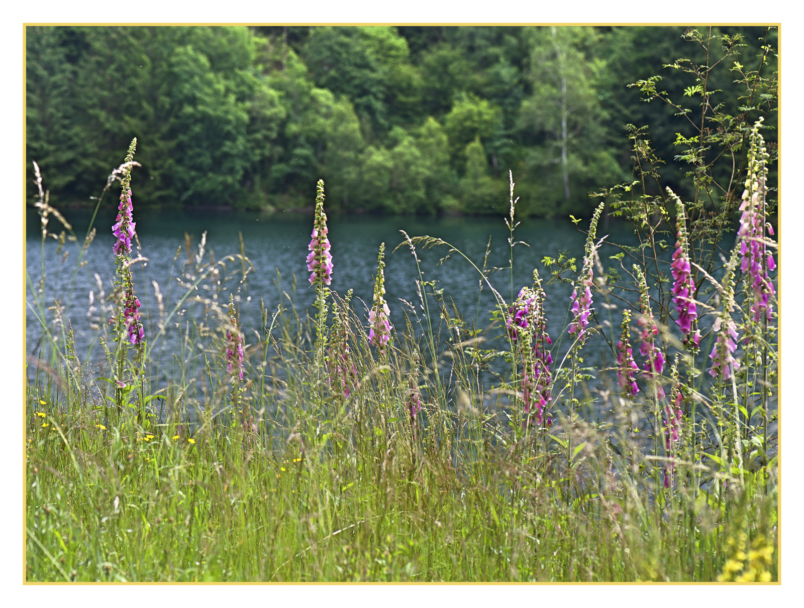 Durchblick