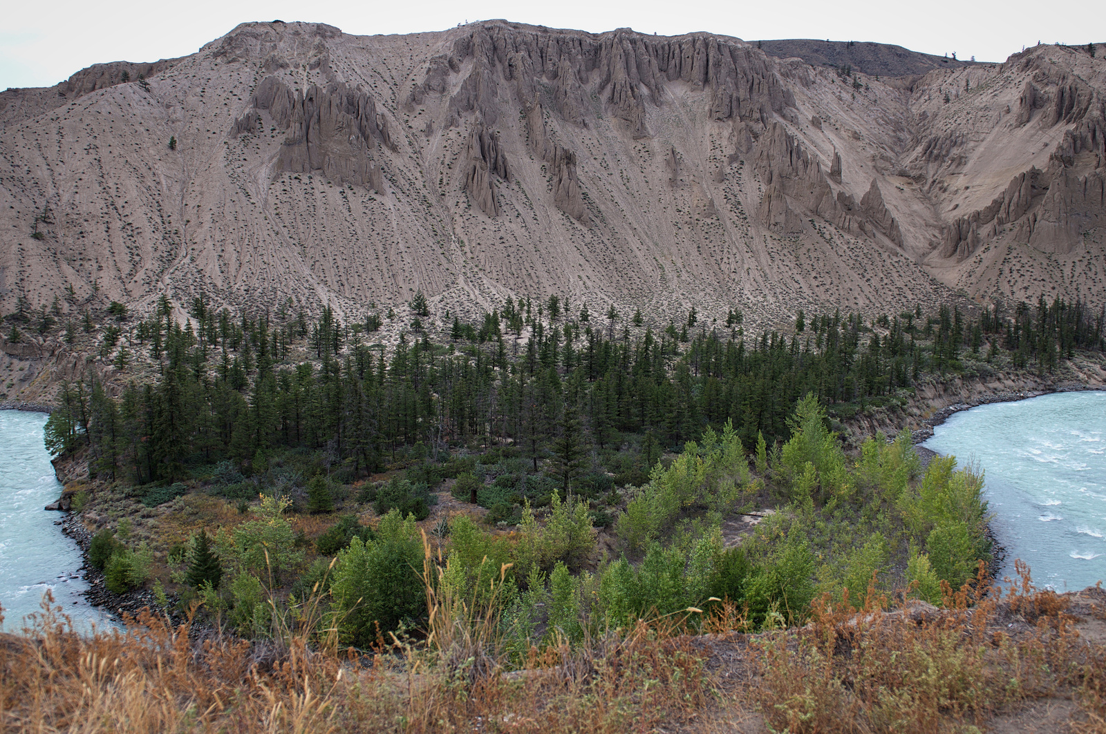 Fraser river