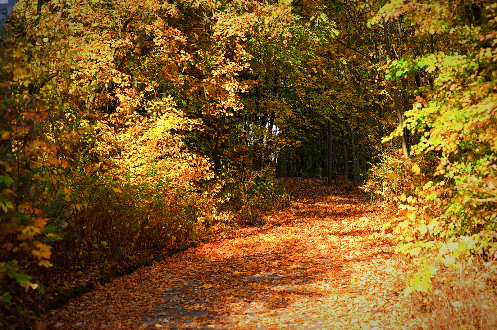 Ösz Oberfranken