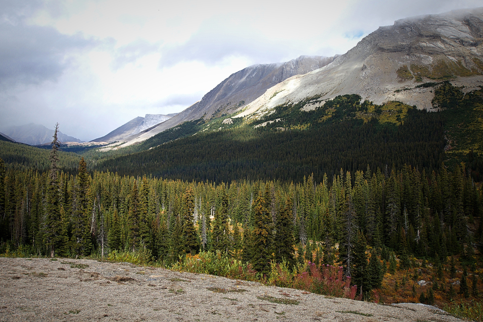 Alberta