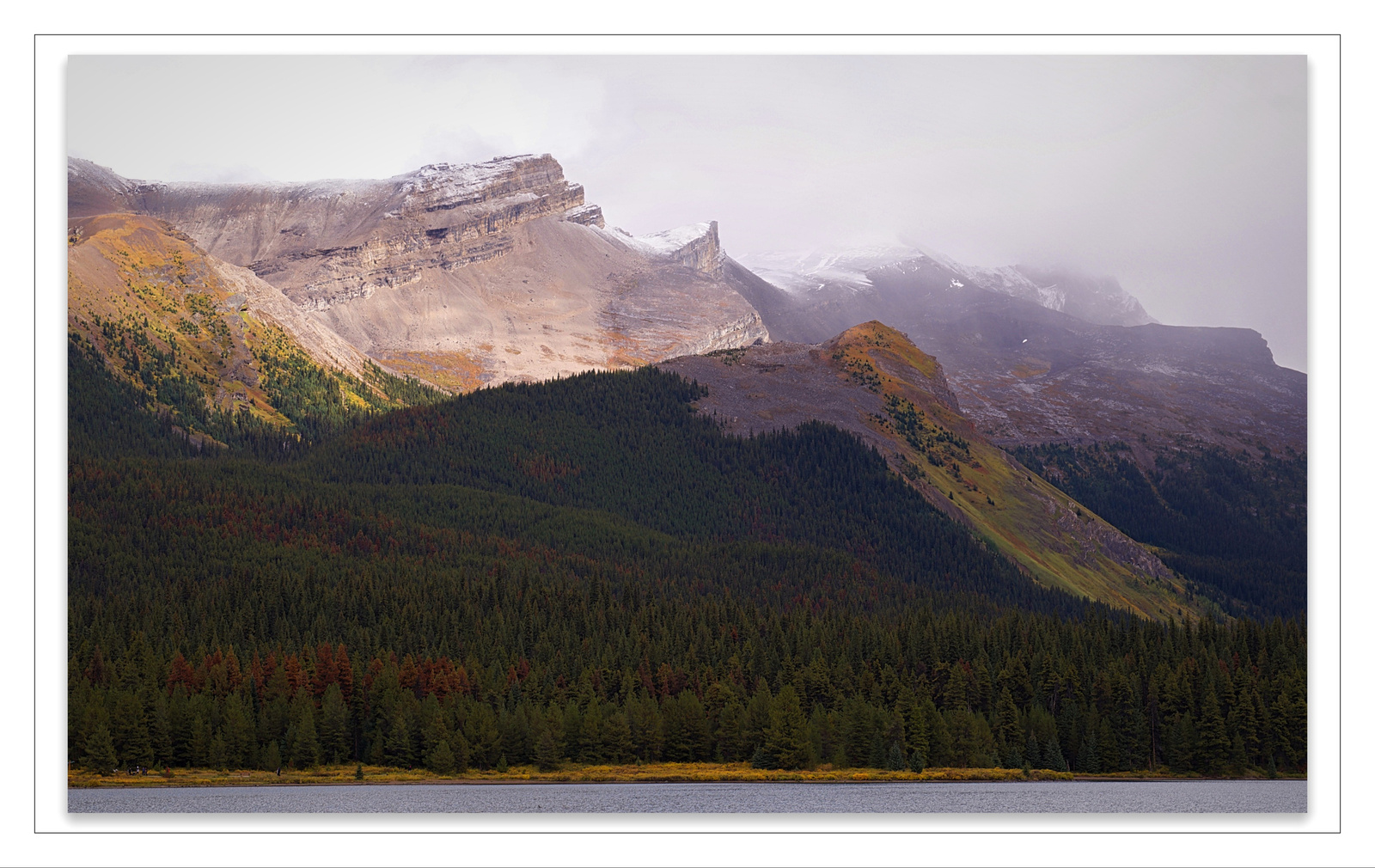 Rockies