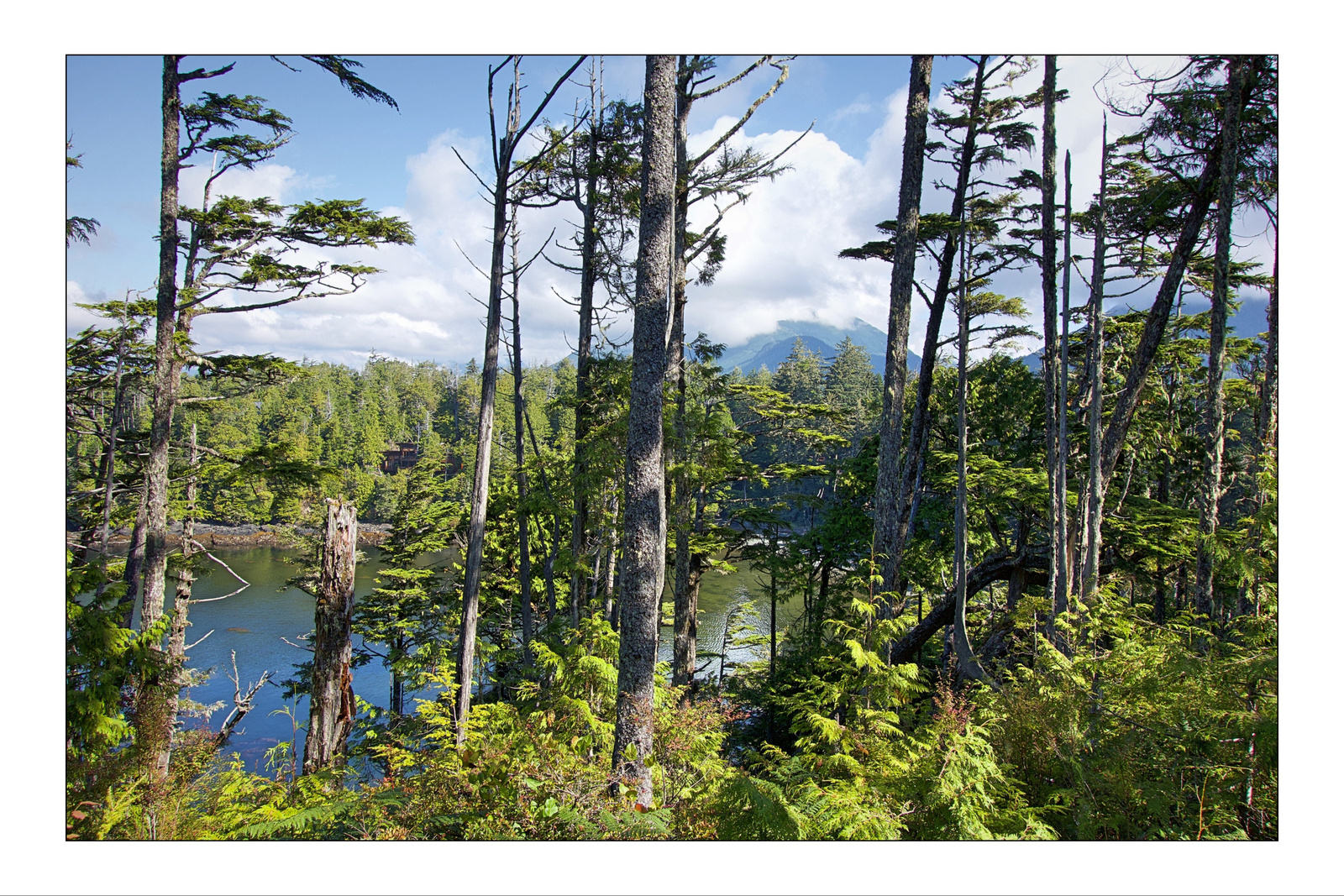 Ucluelet B.C.