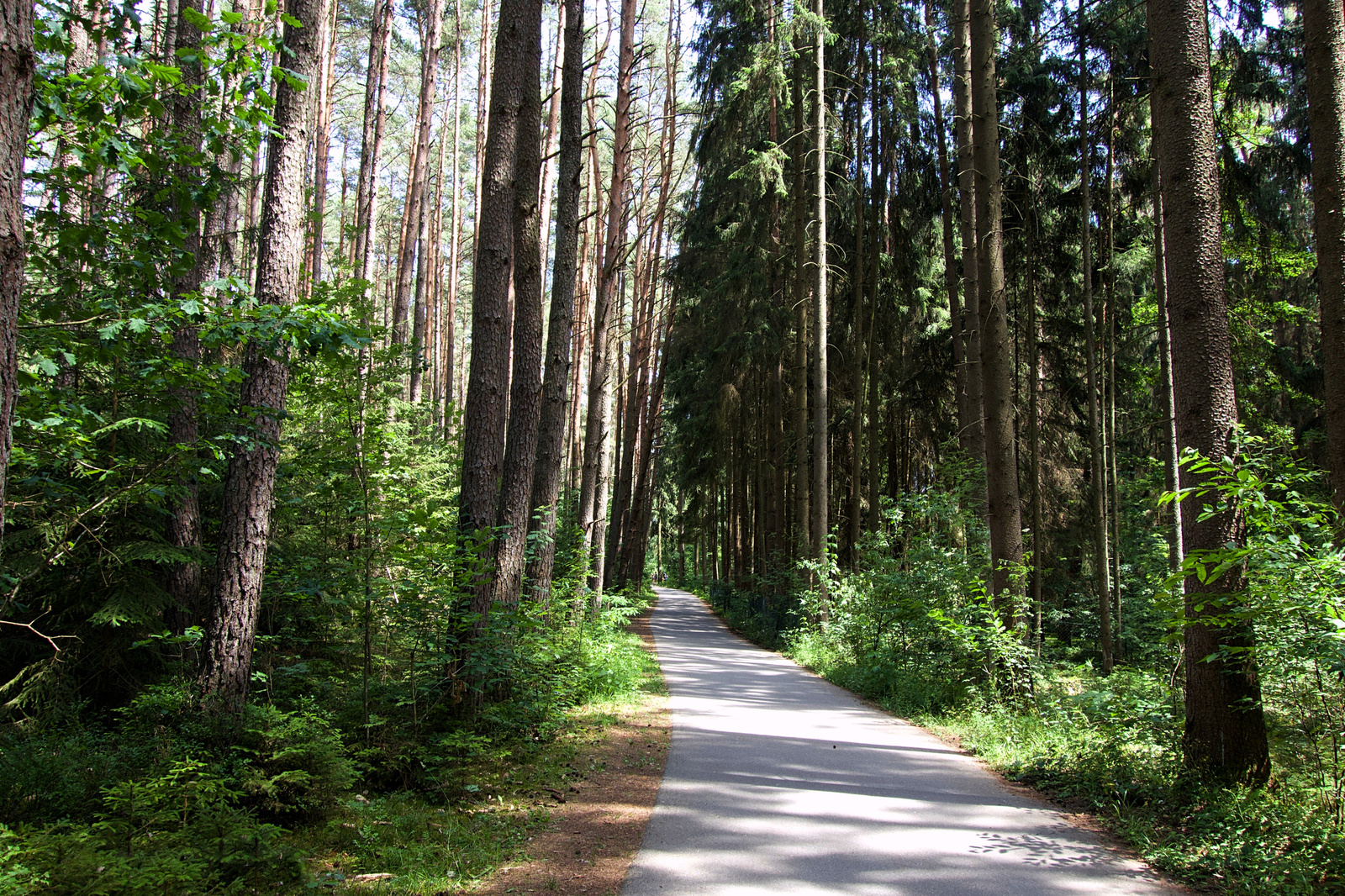 bikeway