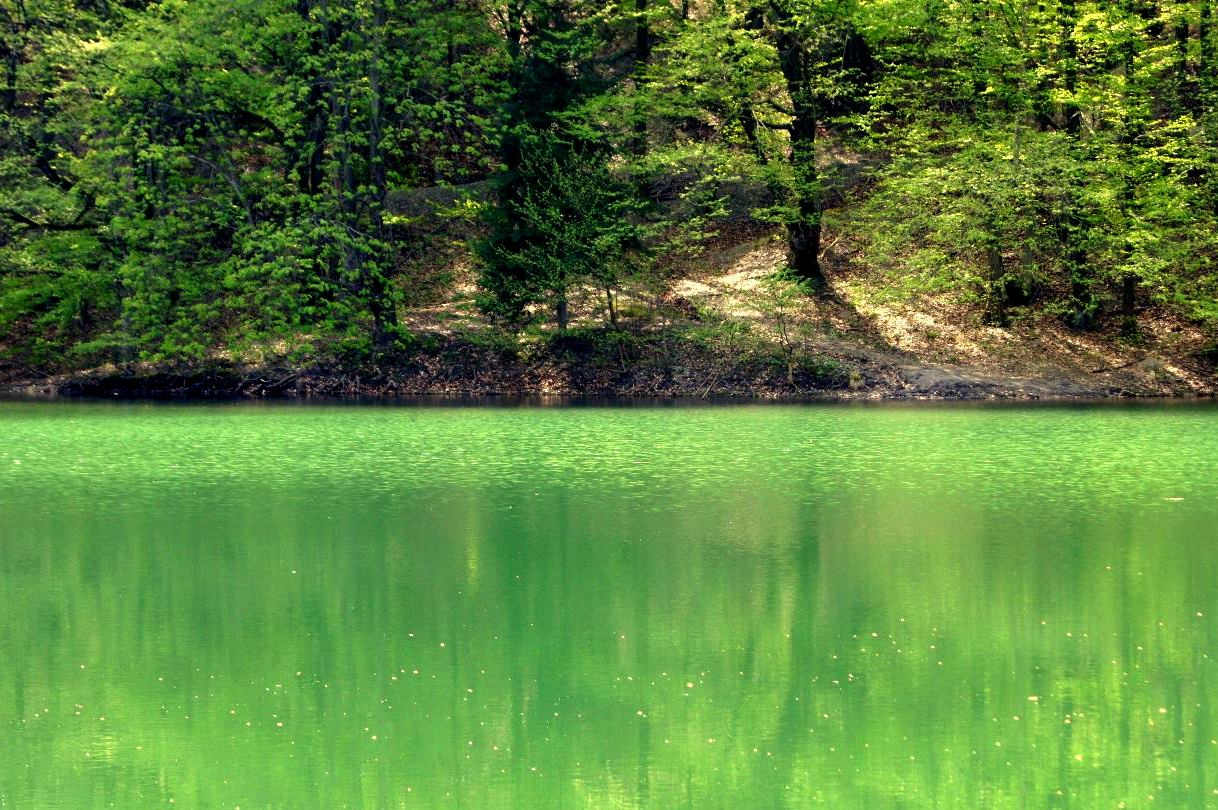 Zöld tó