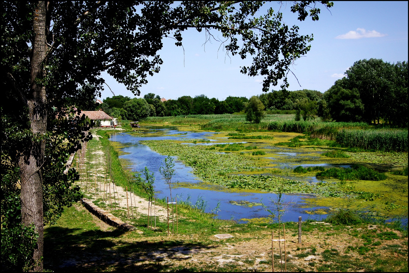 Győz a természet