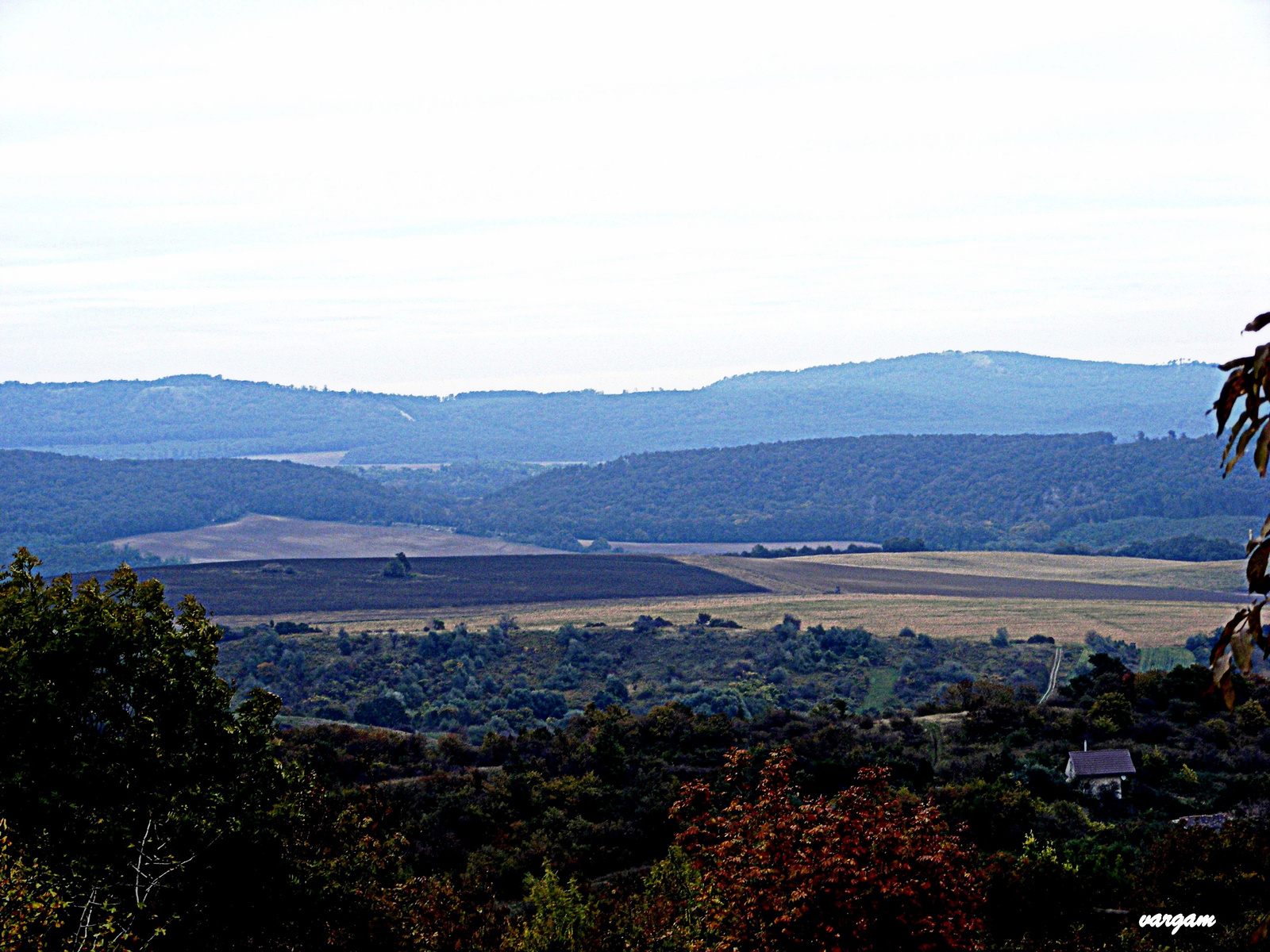 Felsőgalla