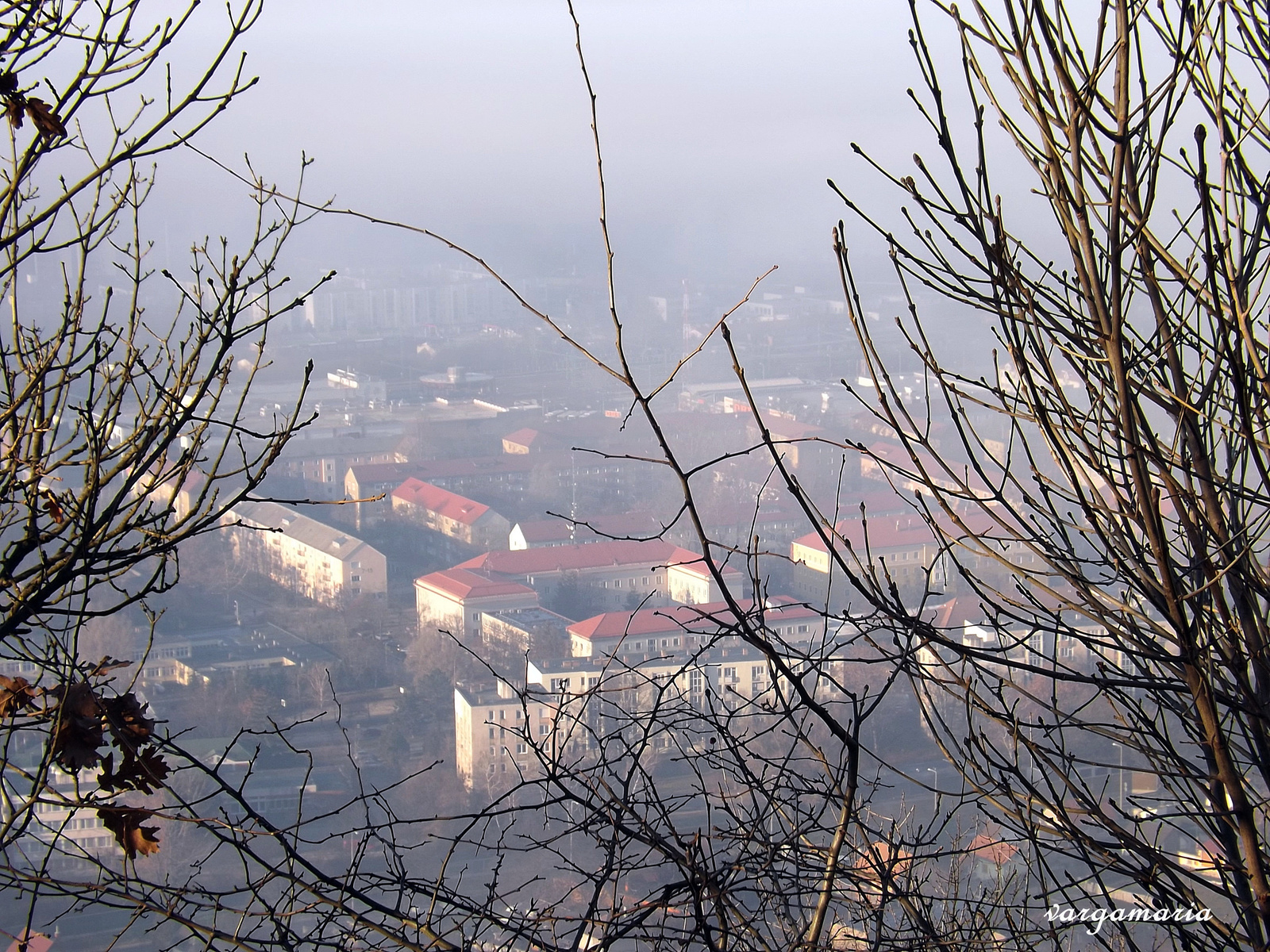 Tatabánya - Kő hegyen a Turulnál 2015.december 26