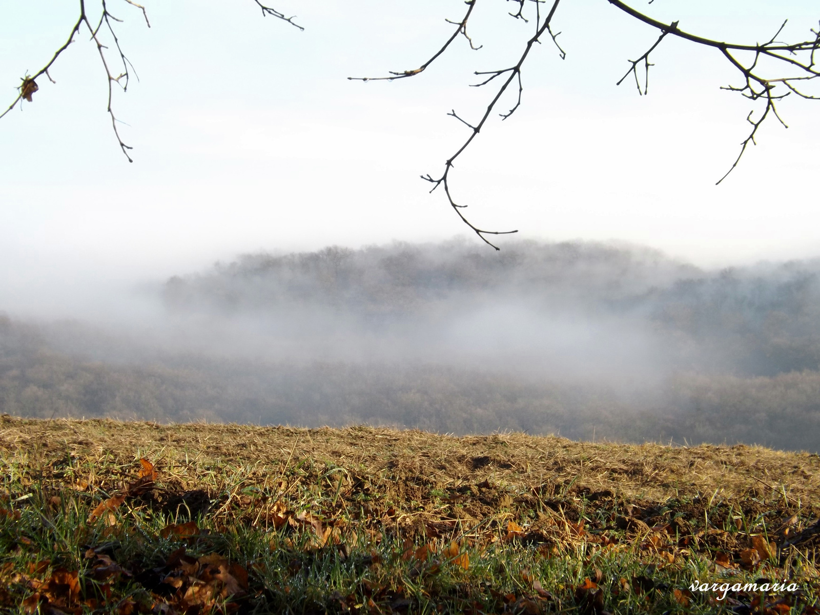 Tatabánya - Kő hegyen a Turulnál 2015.december 26