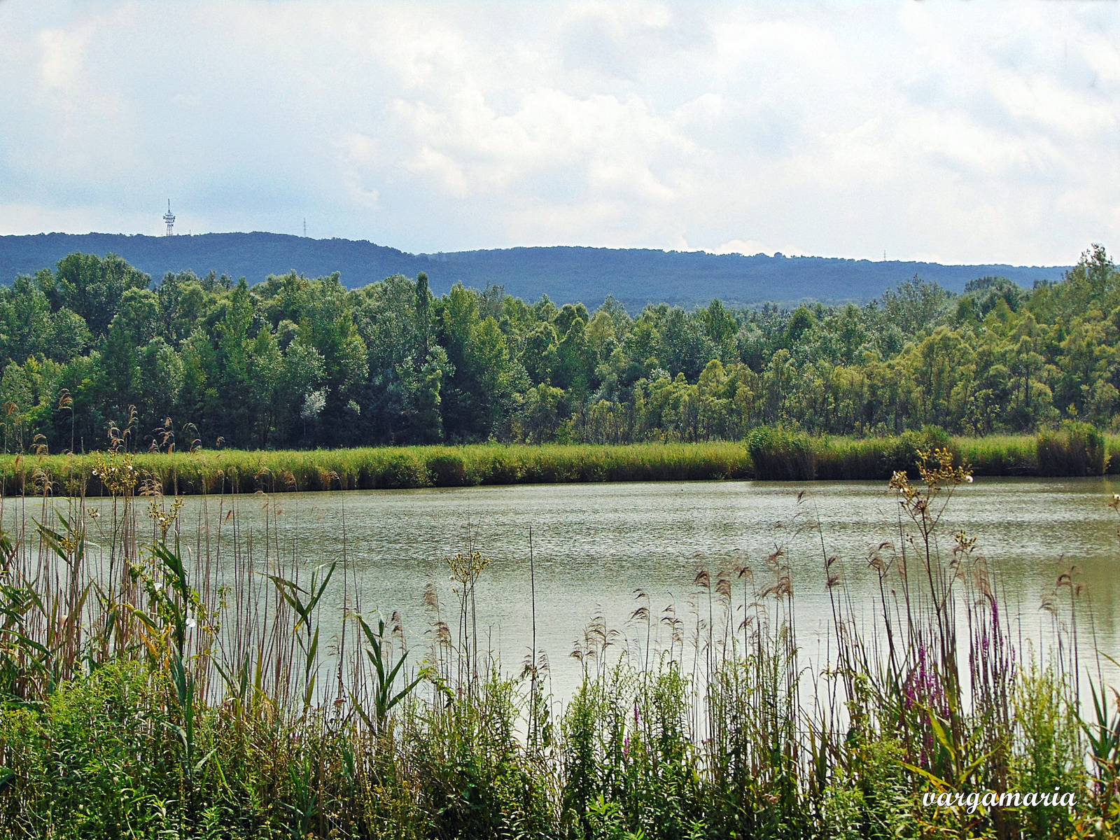 Felsőgalla Kékes tó (Kéki) 2016.07 (5)