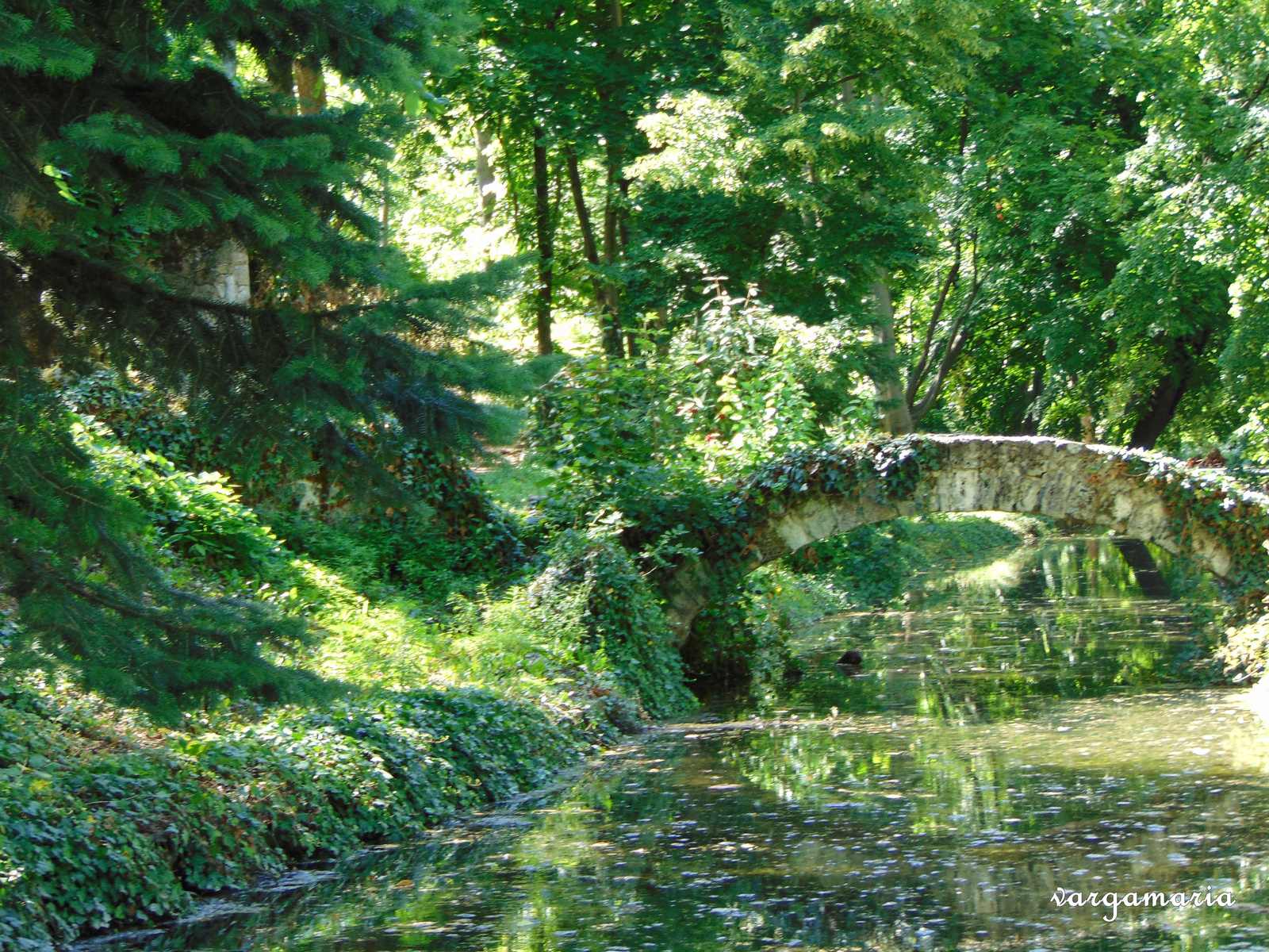 Cseke tó és Angolpark Tata