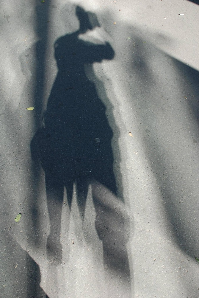 Csécsei Ilona Corvin-negyed üveg felületről vetülő fények 2013