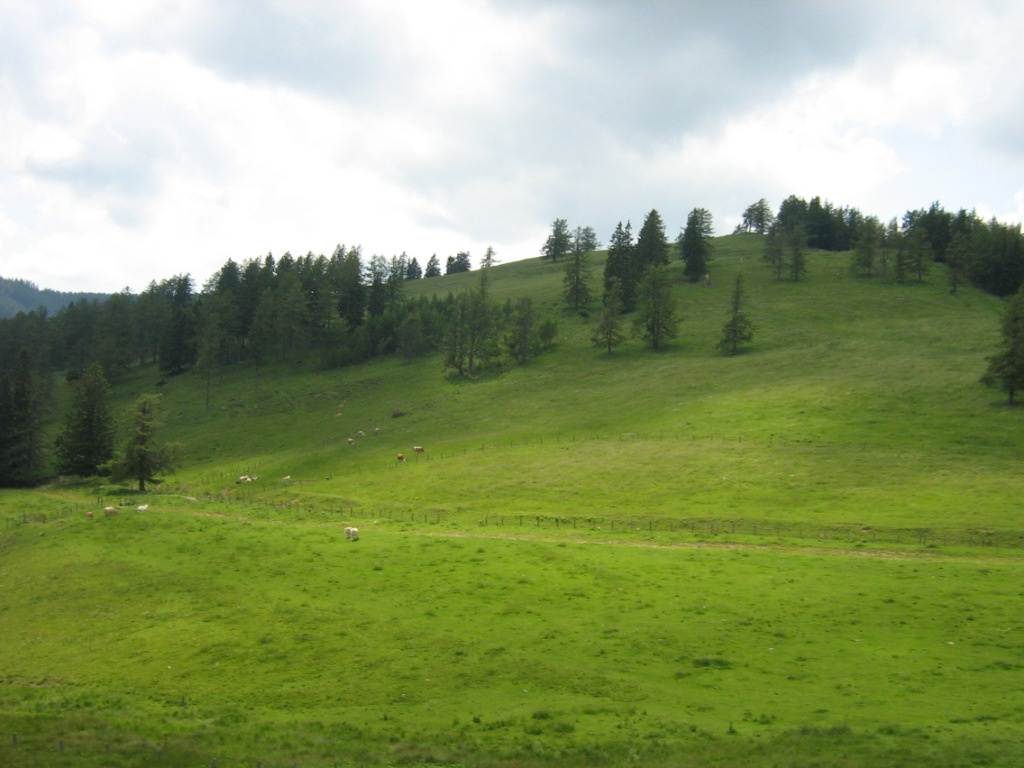 Alpok túra 1 - Birfeld - Teichalm 161