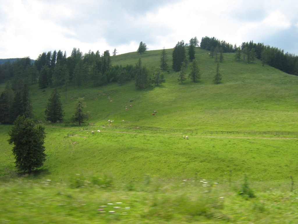 Alpok túra 1 - Birfeld - Teichalm 162