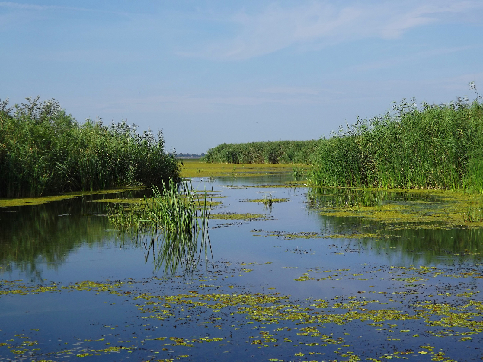 Tisza - tó (4)