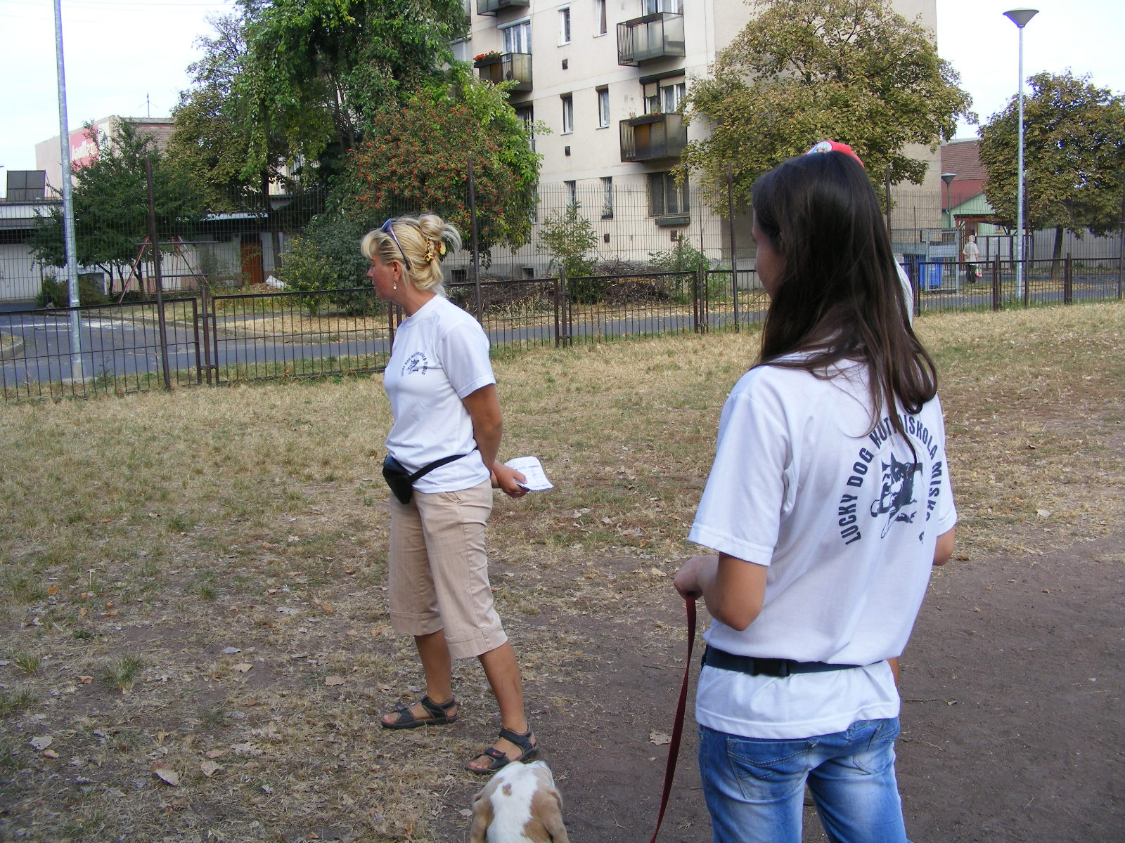 KUTYÁK 20111004 019