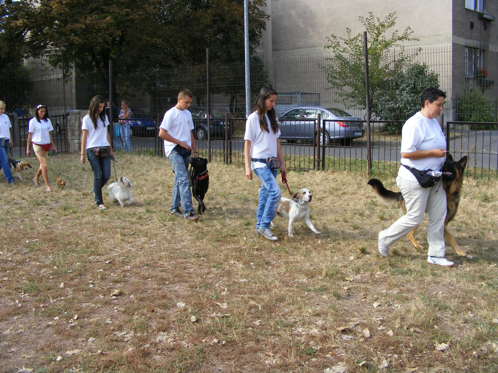 KUTYÁK 20111004 029