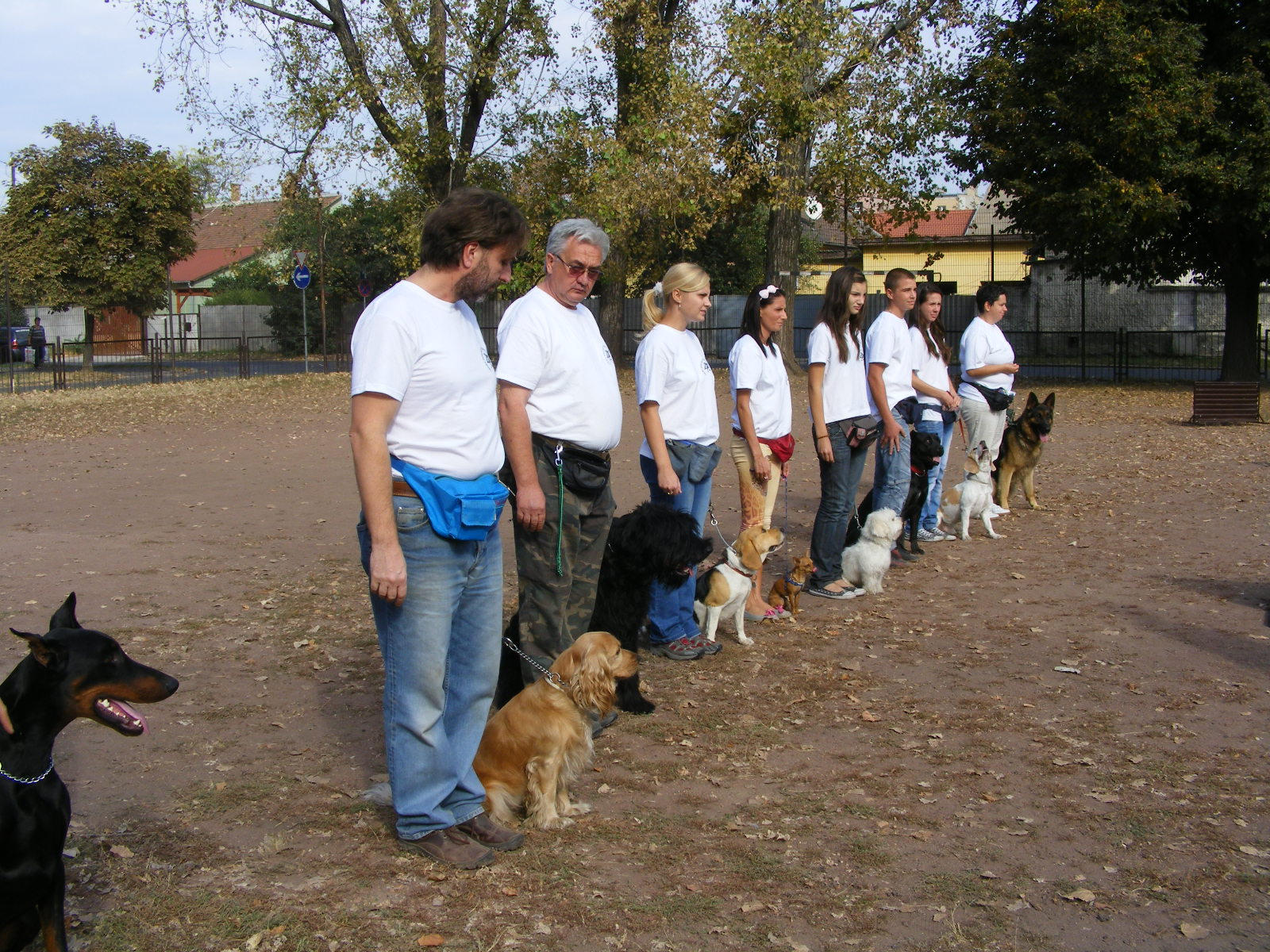 KUTYÁK 20111004 031