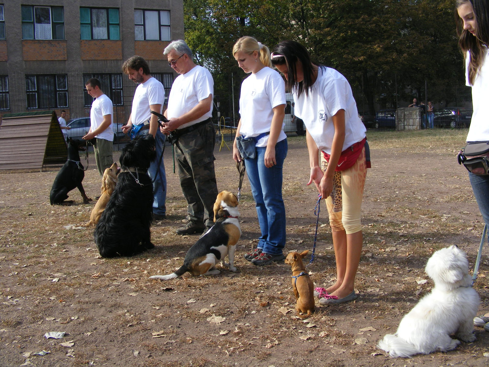 KUTYÁK 20111004 037