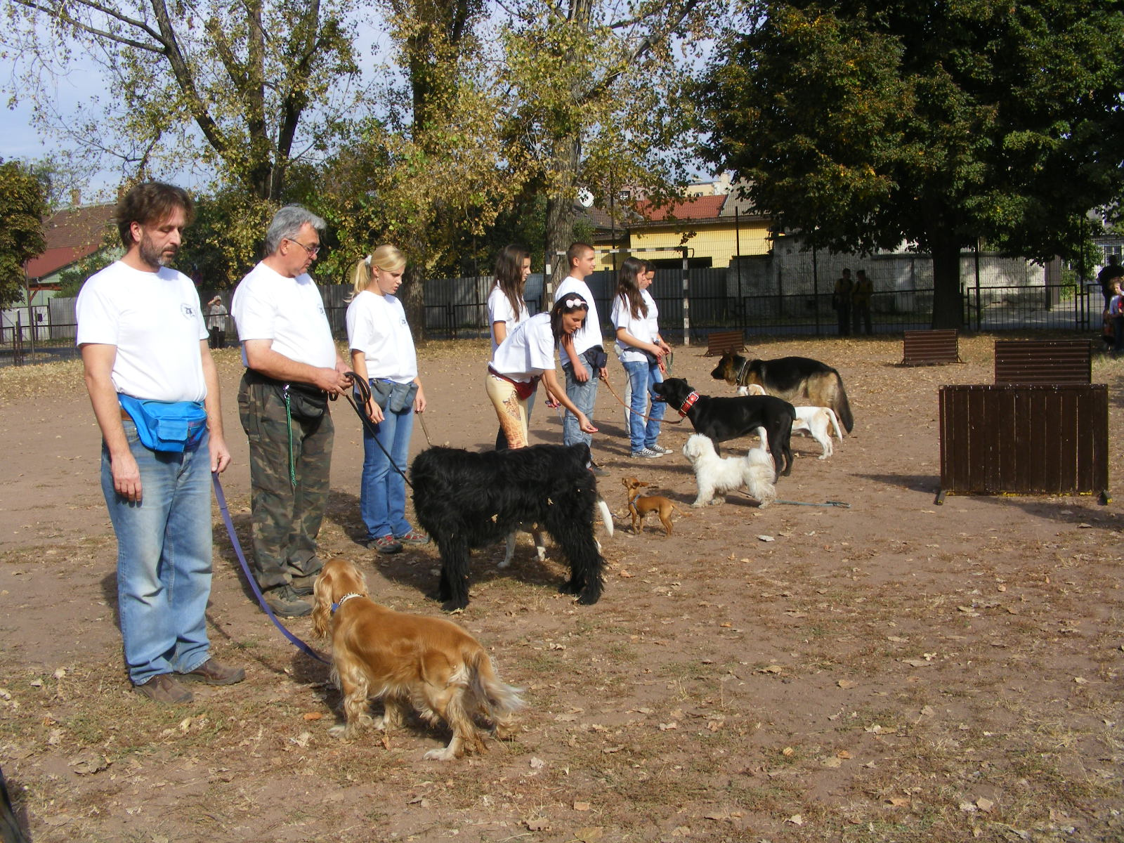 KUTYÁK 20111004 040