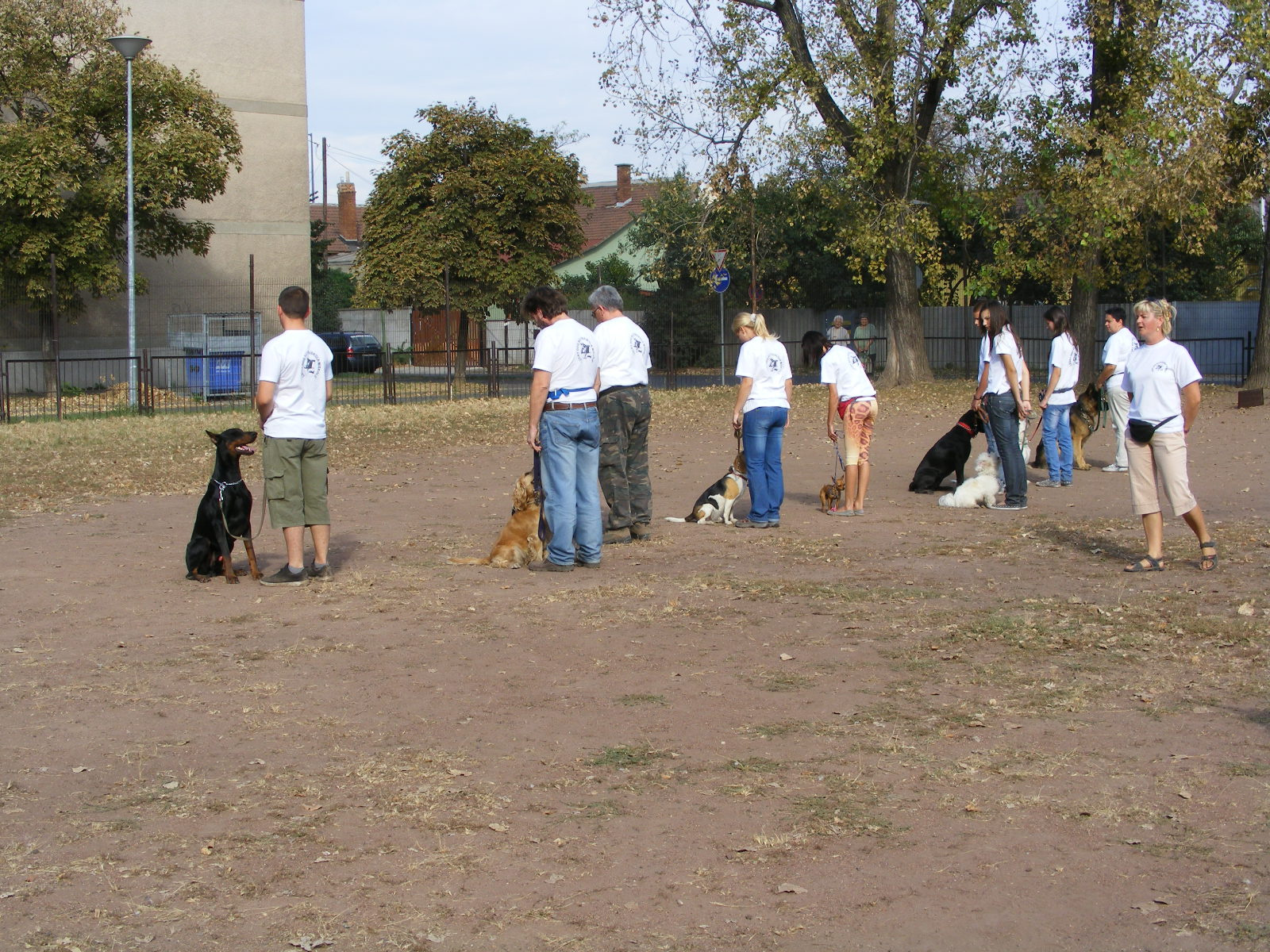 KUTYÁK 20111004 044