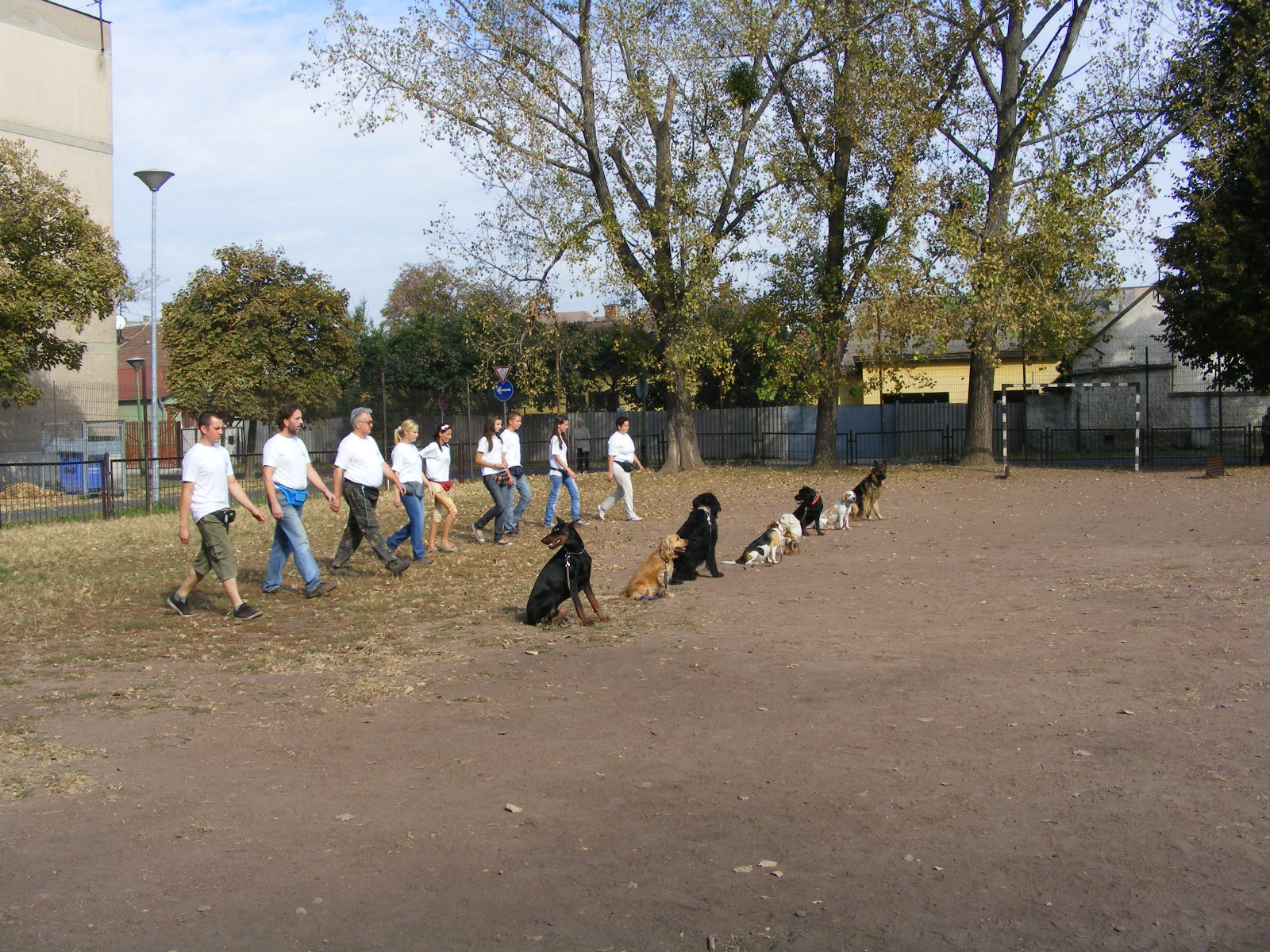 KUTYÁK 20111004 047