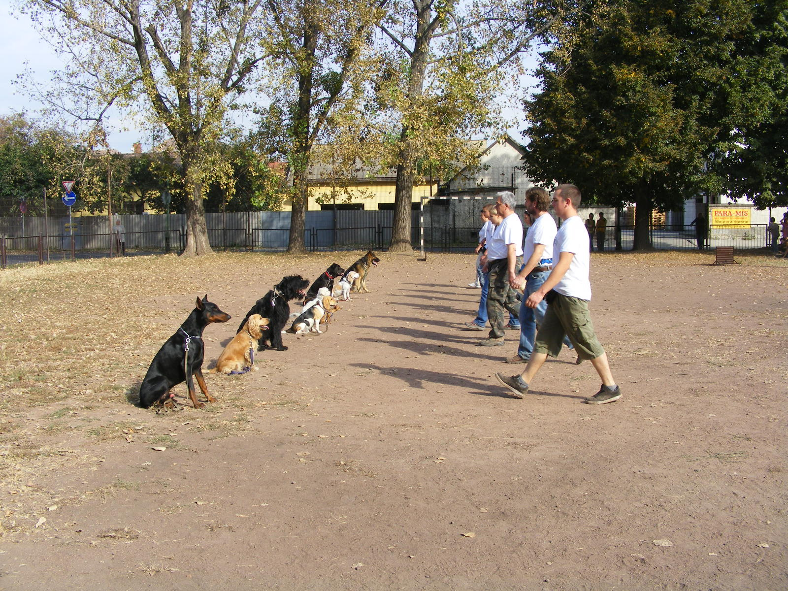 KUTYÁK 20111004 049