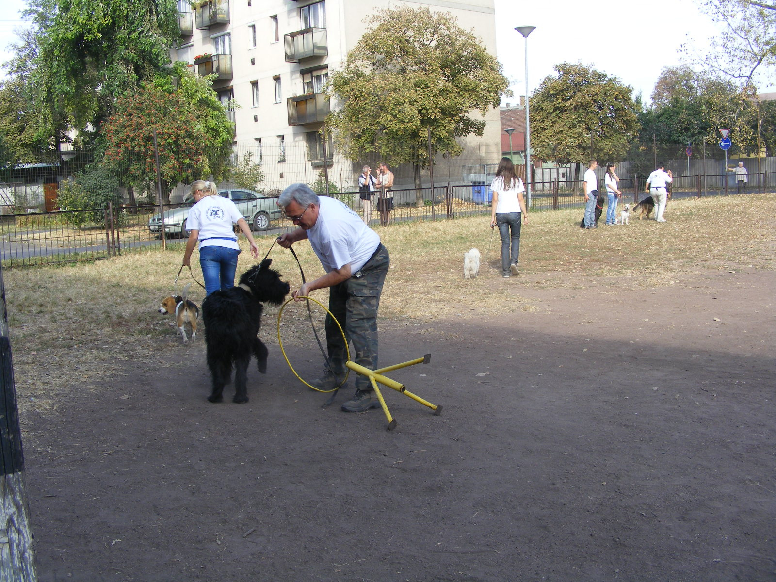 KUTYÁK 20111004 062