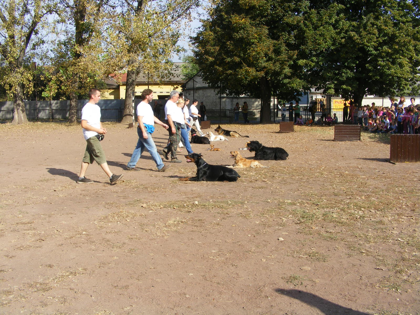 KUTYÁK 20111004 064