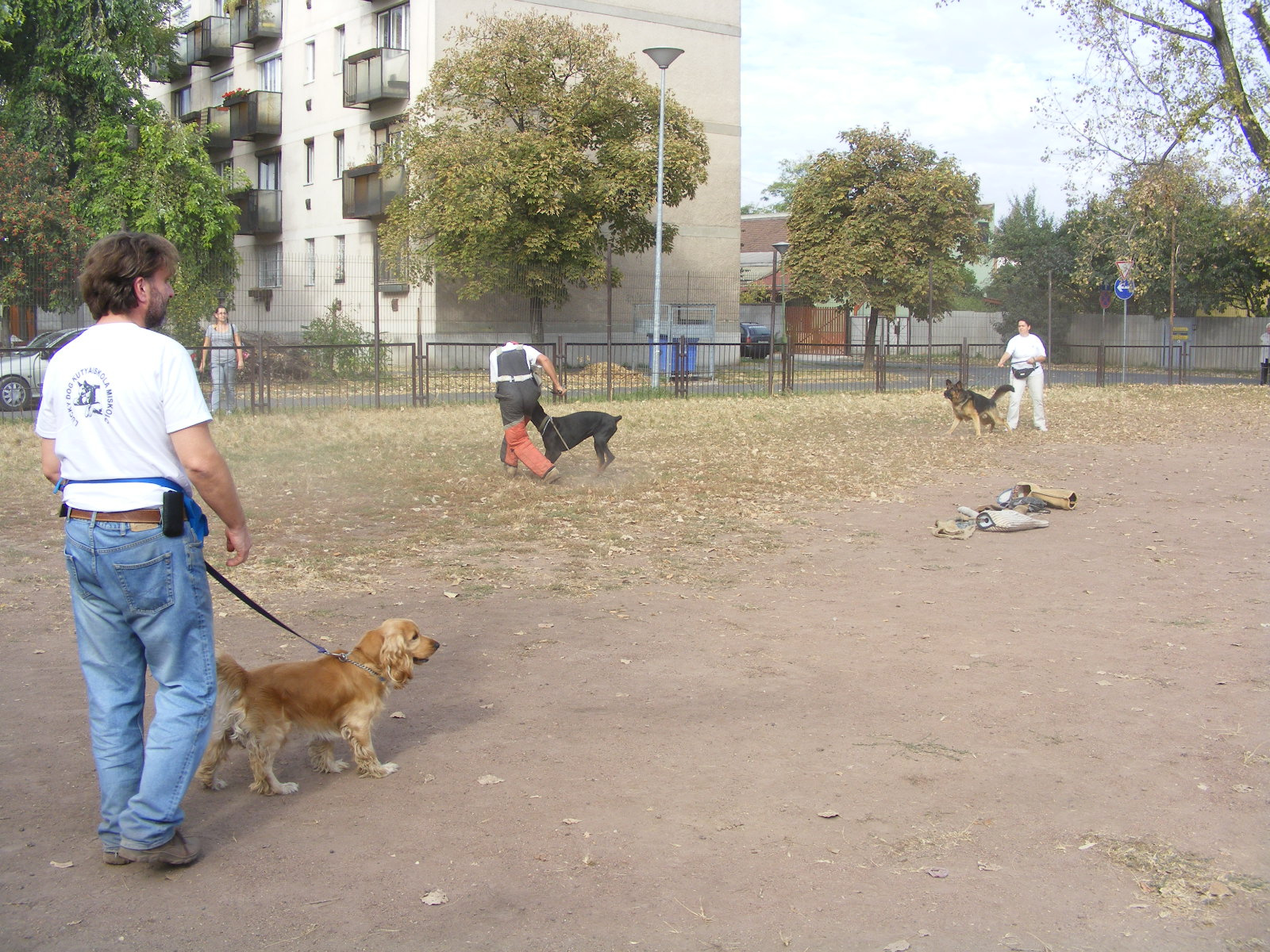 KUTYÁK 20111004 076