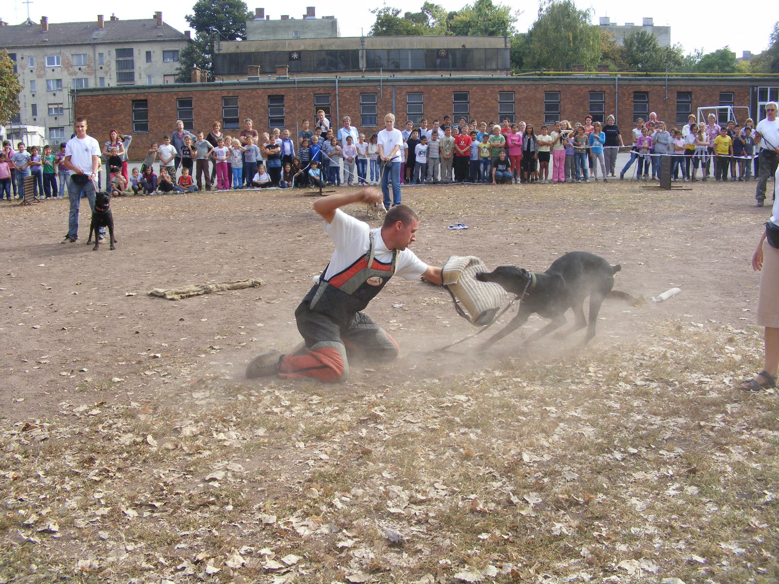 KUTYÁK 20111004 084