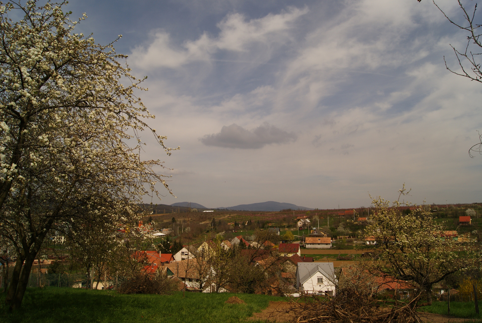 Pécs 027