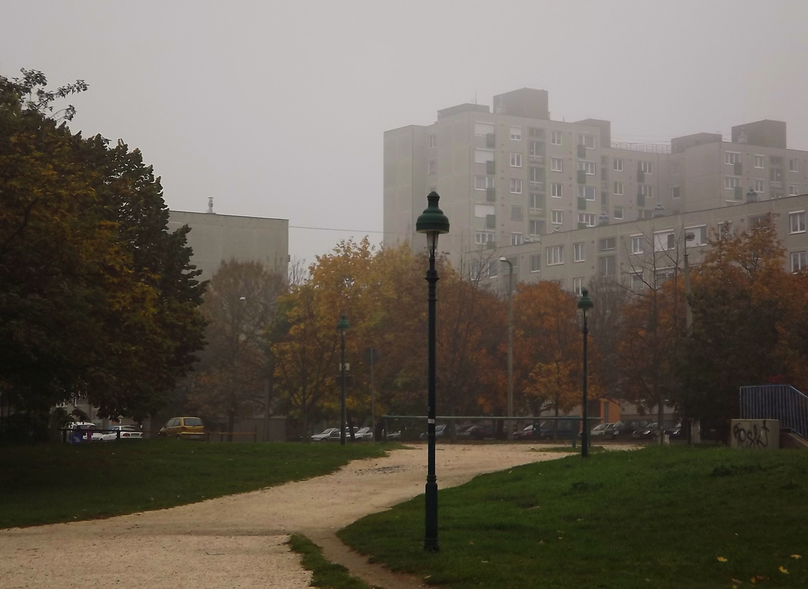 Városi köd