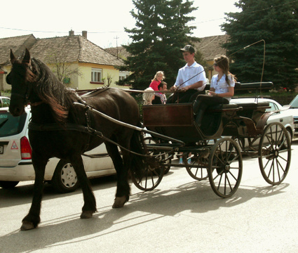 Lovaskocsis felvonulás 1