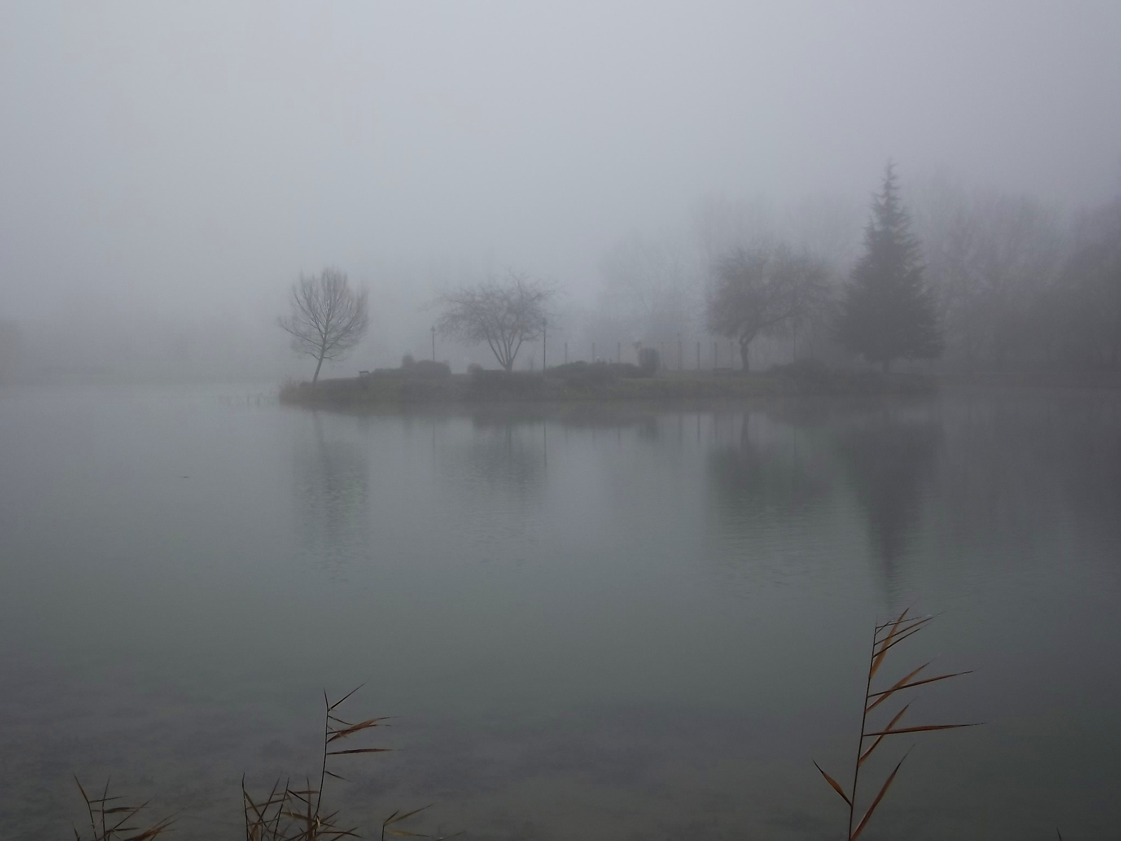 Ködös tópart 1