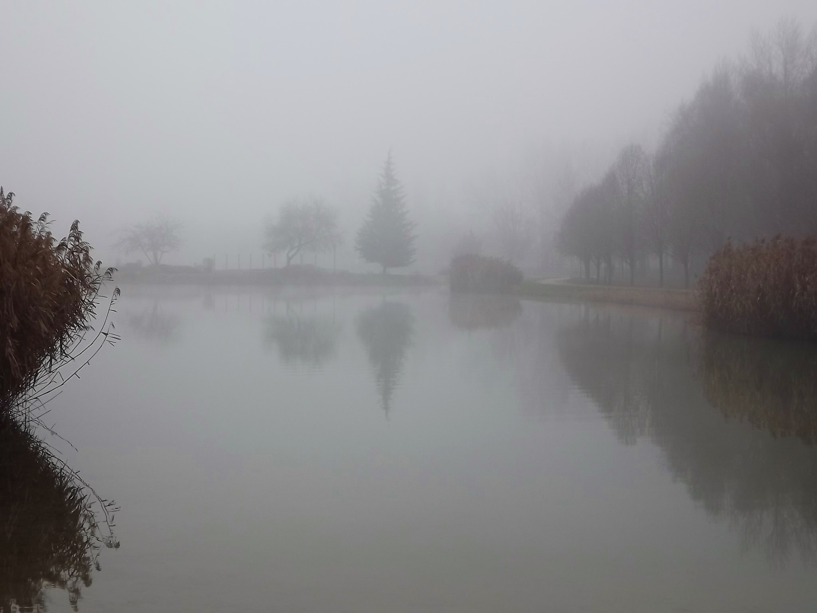 Ködös tópart 3