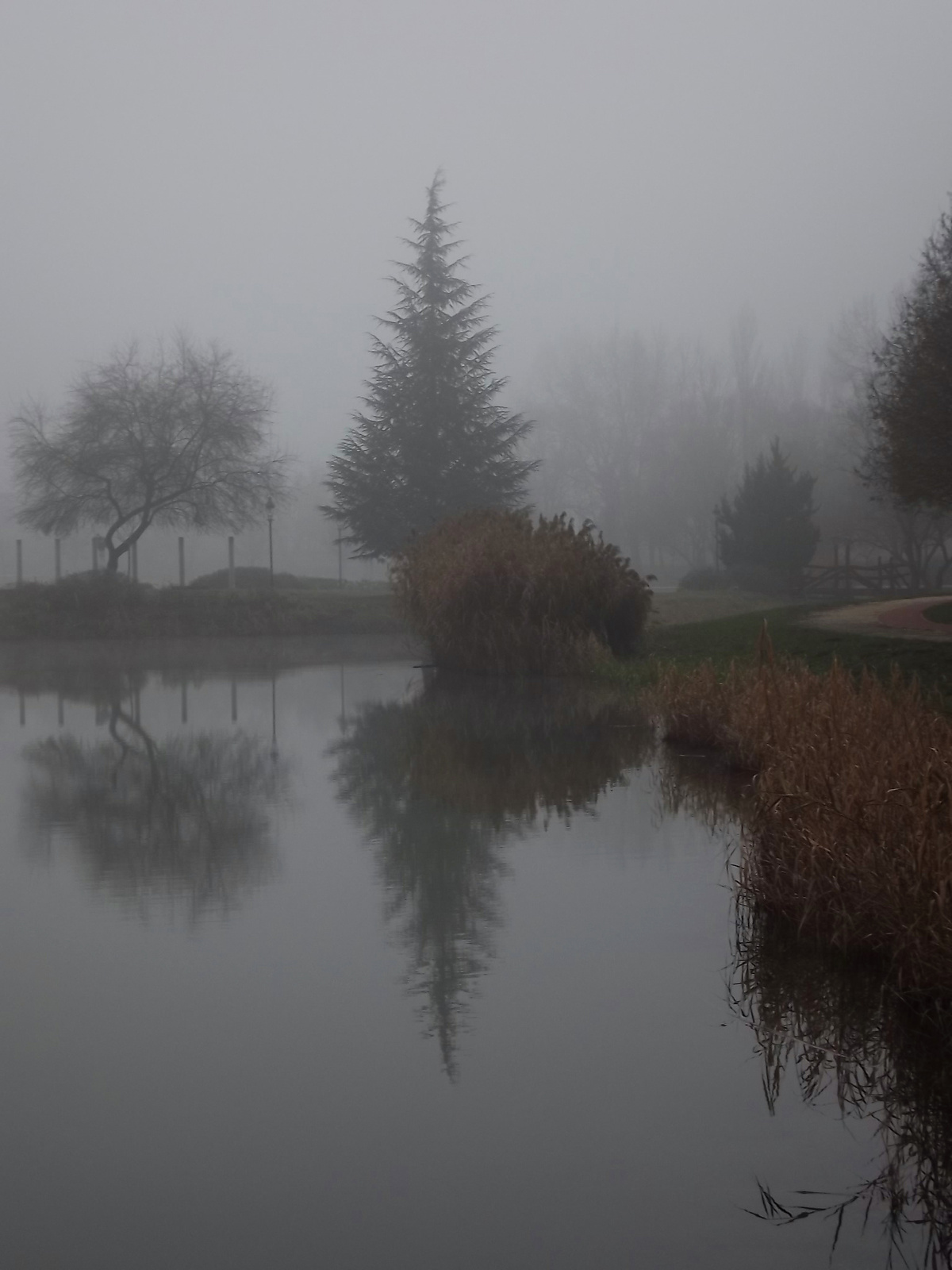Ködös tópart 9