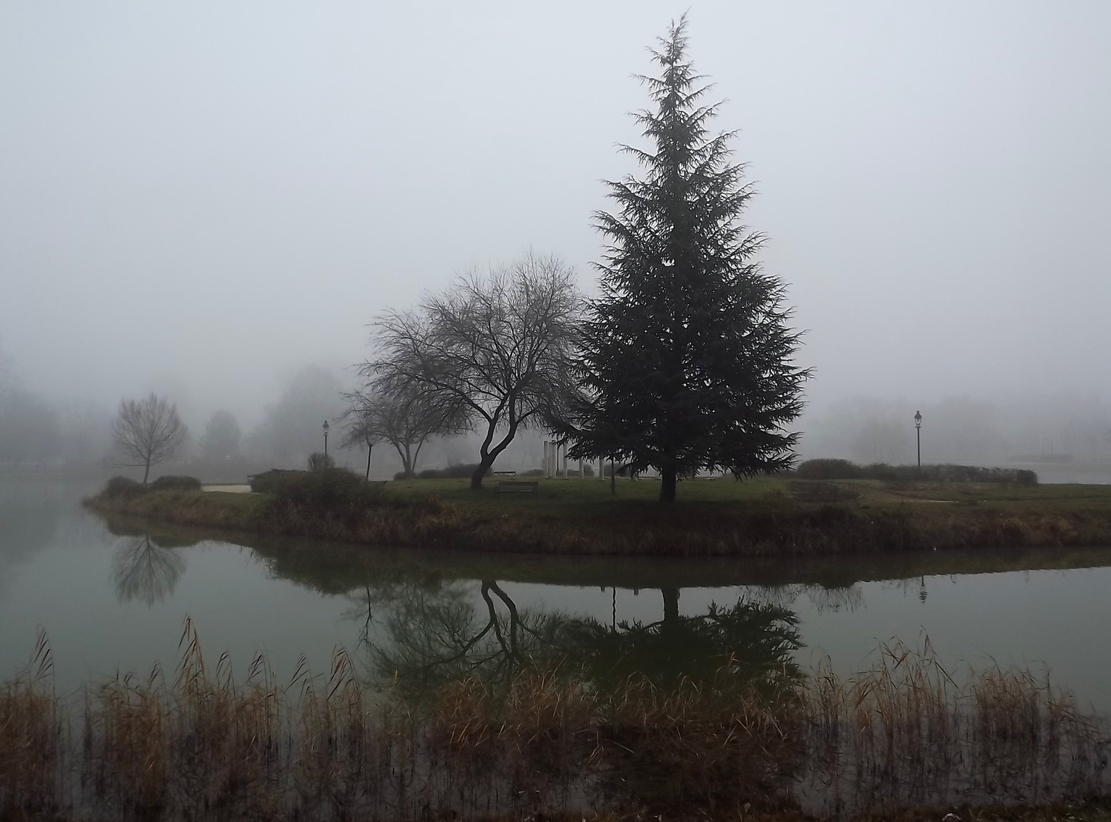Ködös tópart 55