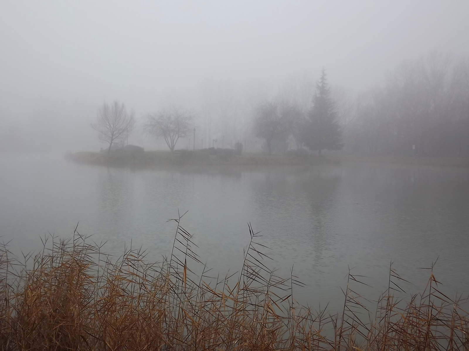 Ködös tópart 64