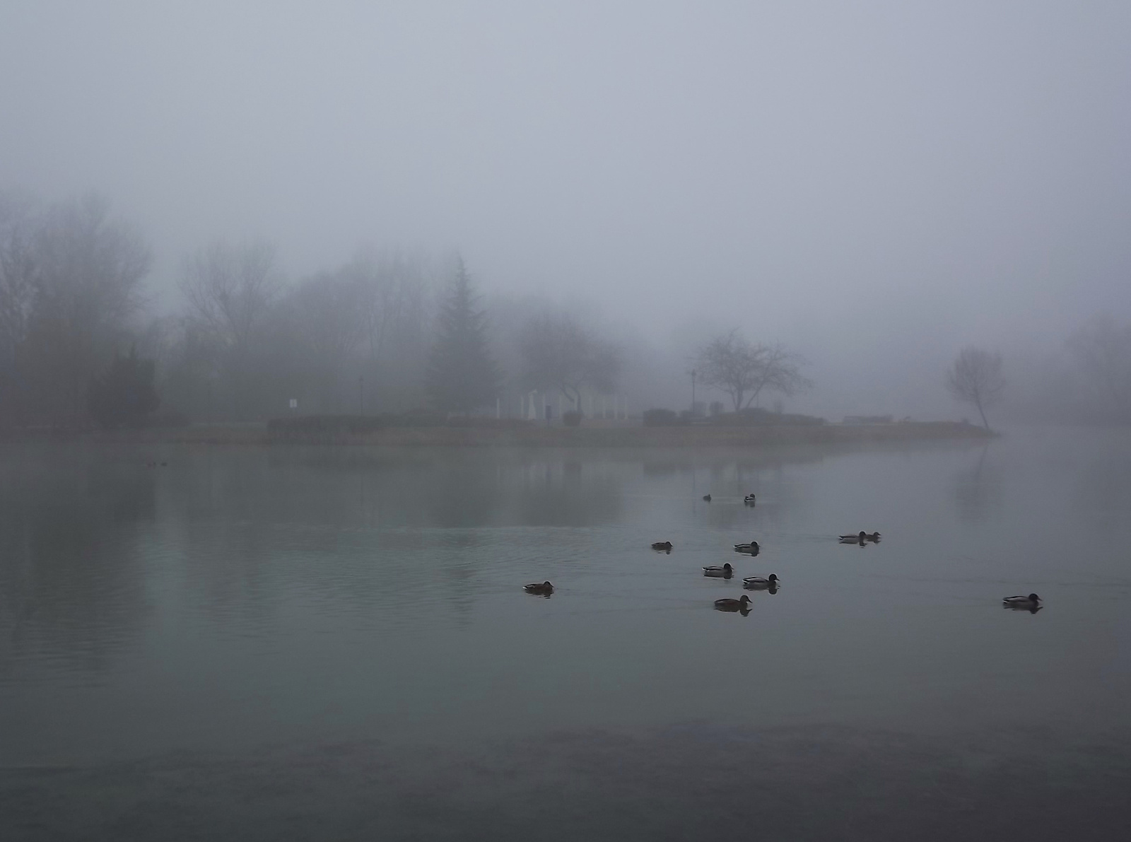 Ködös tópart 70