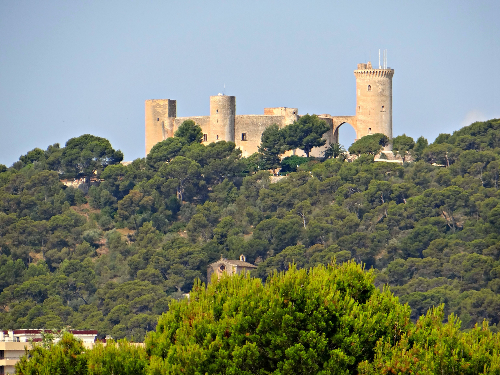 Palma de Mallorca