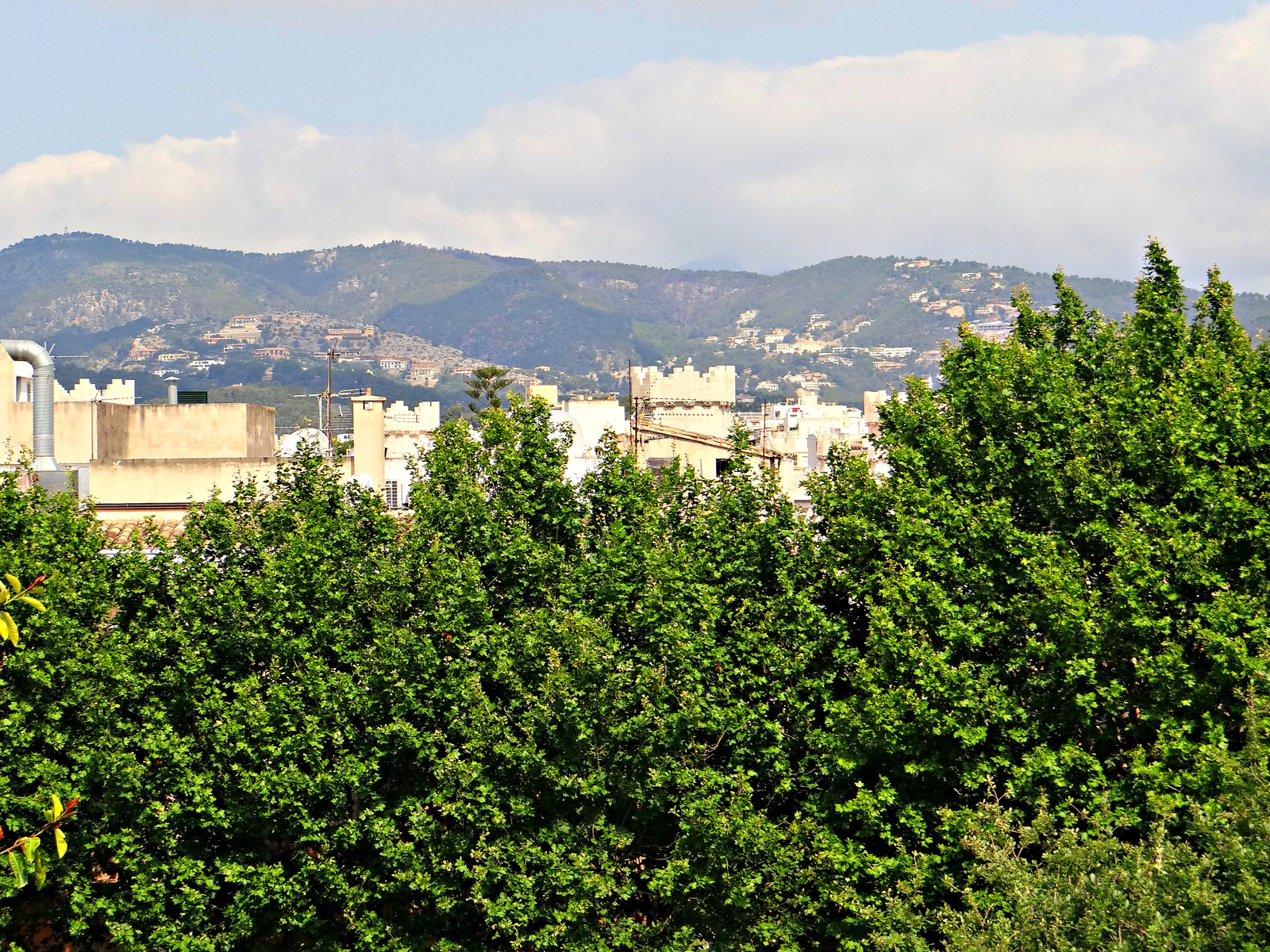 Palma de Mallorca