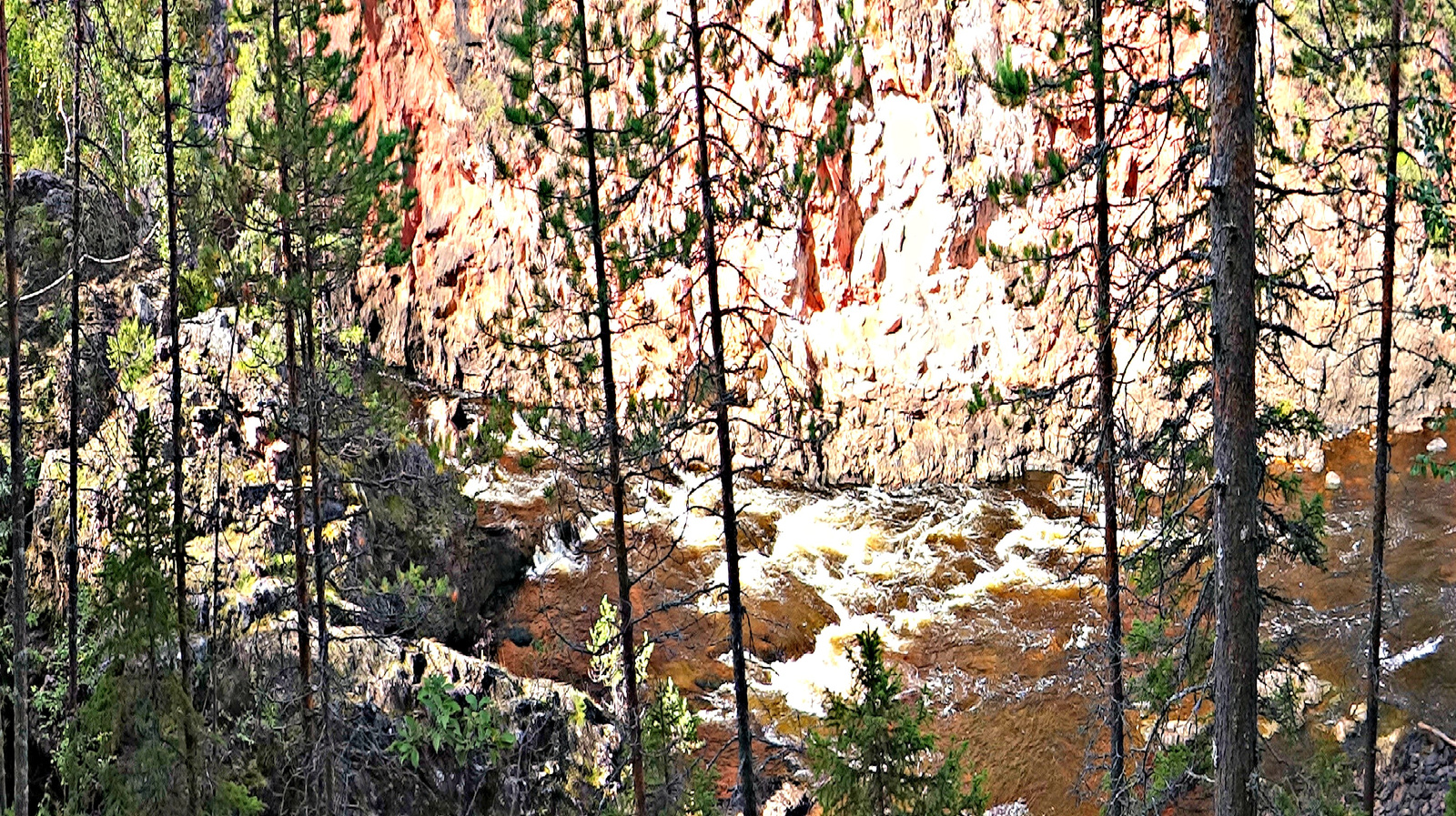 Oulanka Nemzeti Park, Medveösvény