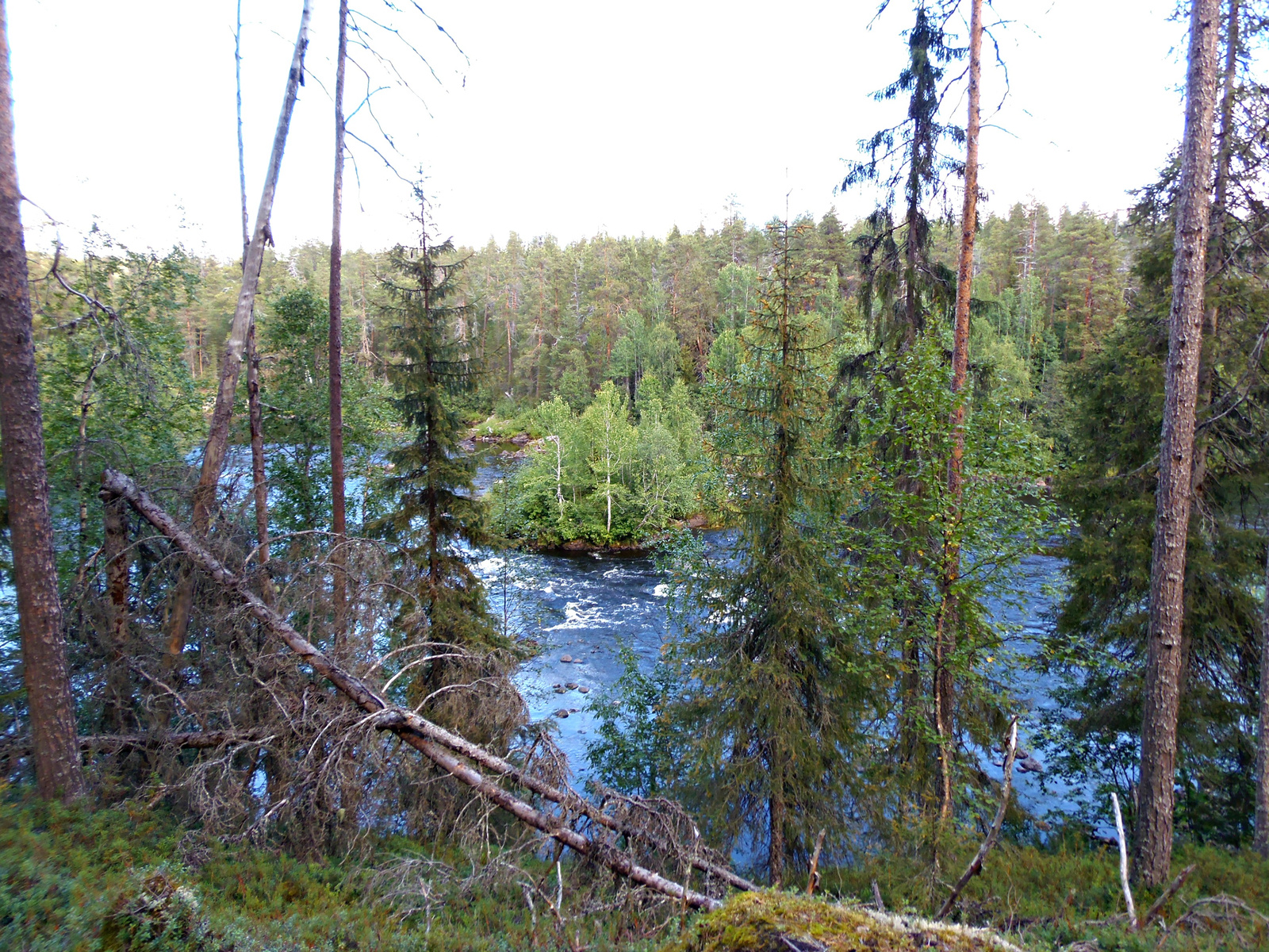 Oulanka Nemzeti Park, Medveösvény