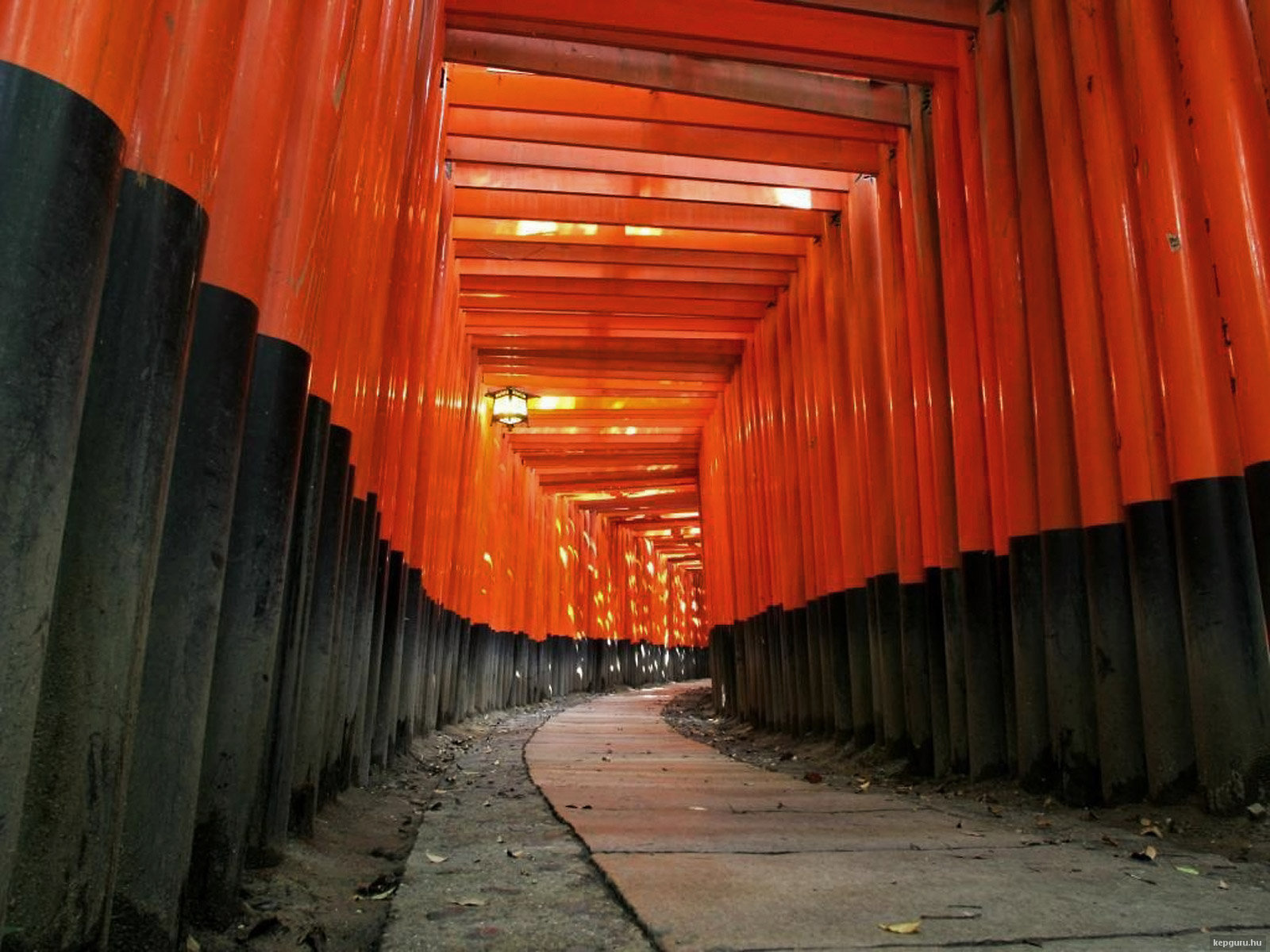 fushimi-inari-kapui-kioto-japan