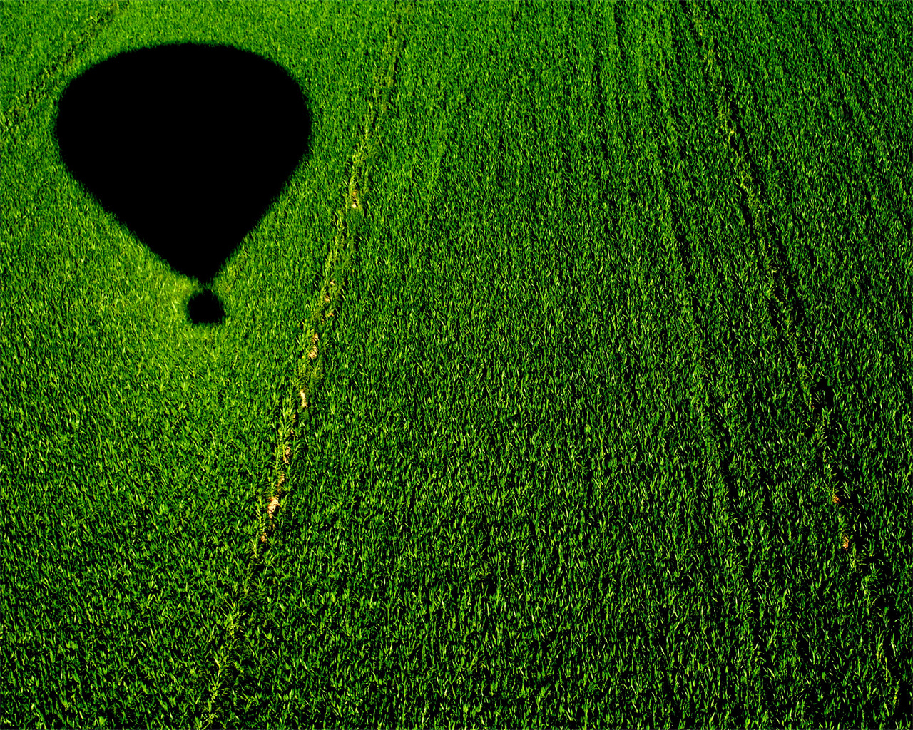 02957 balloonoveracornfield 1280x1024